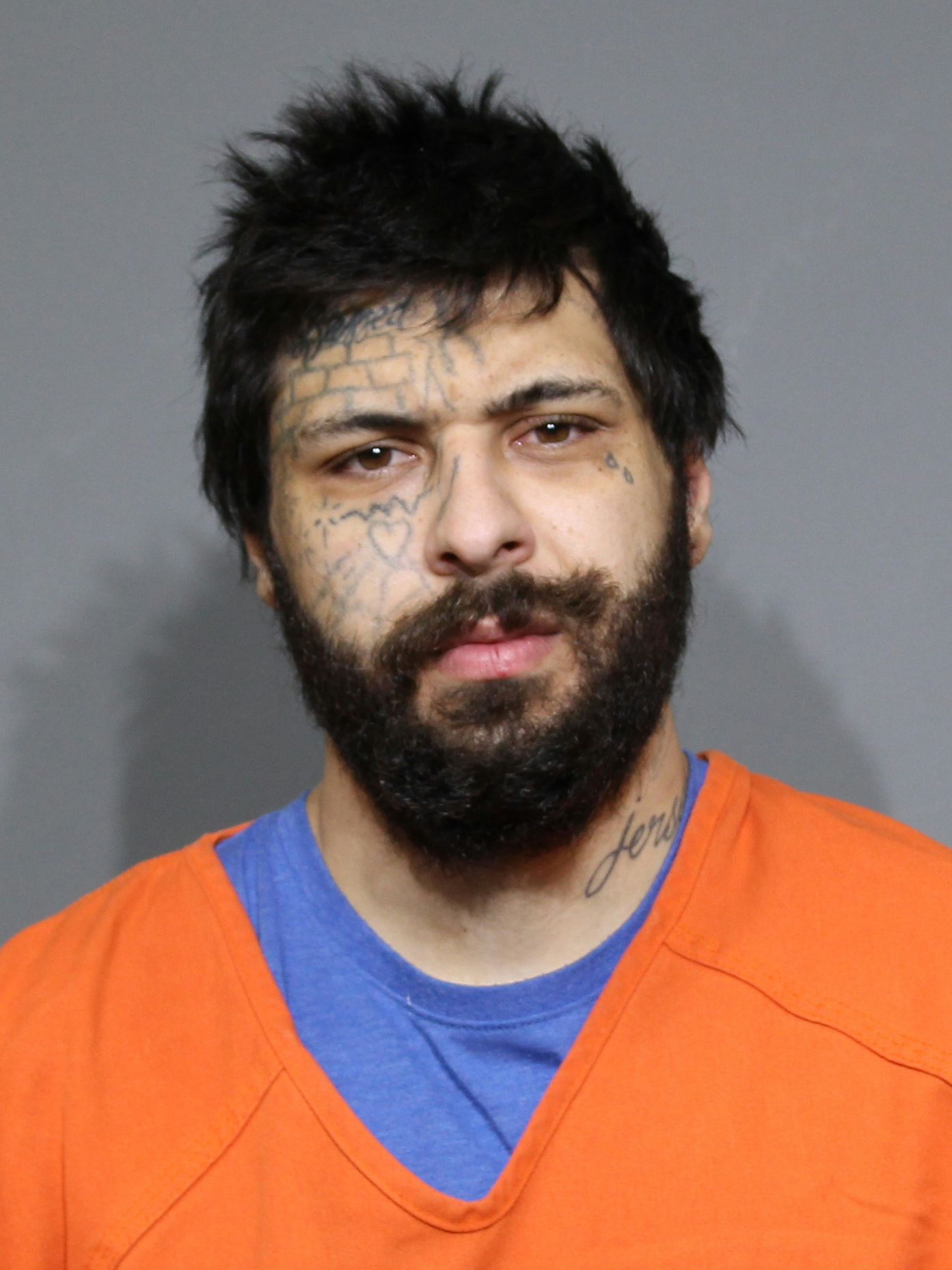 Booking photo for Gentilucci, Michael Paul