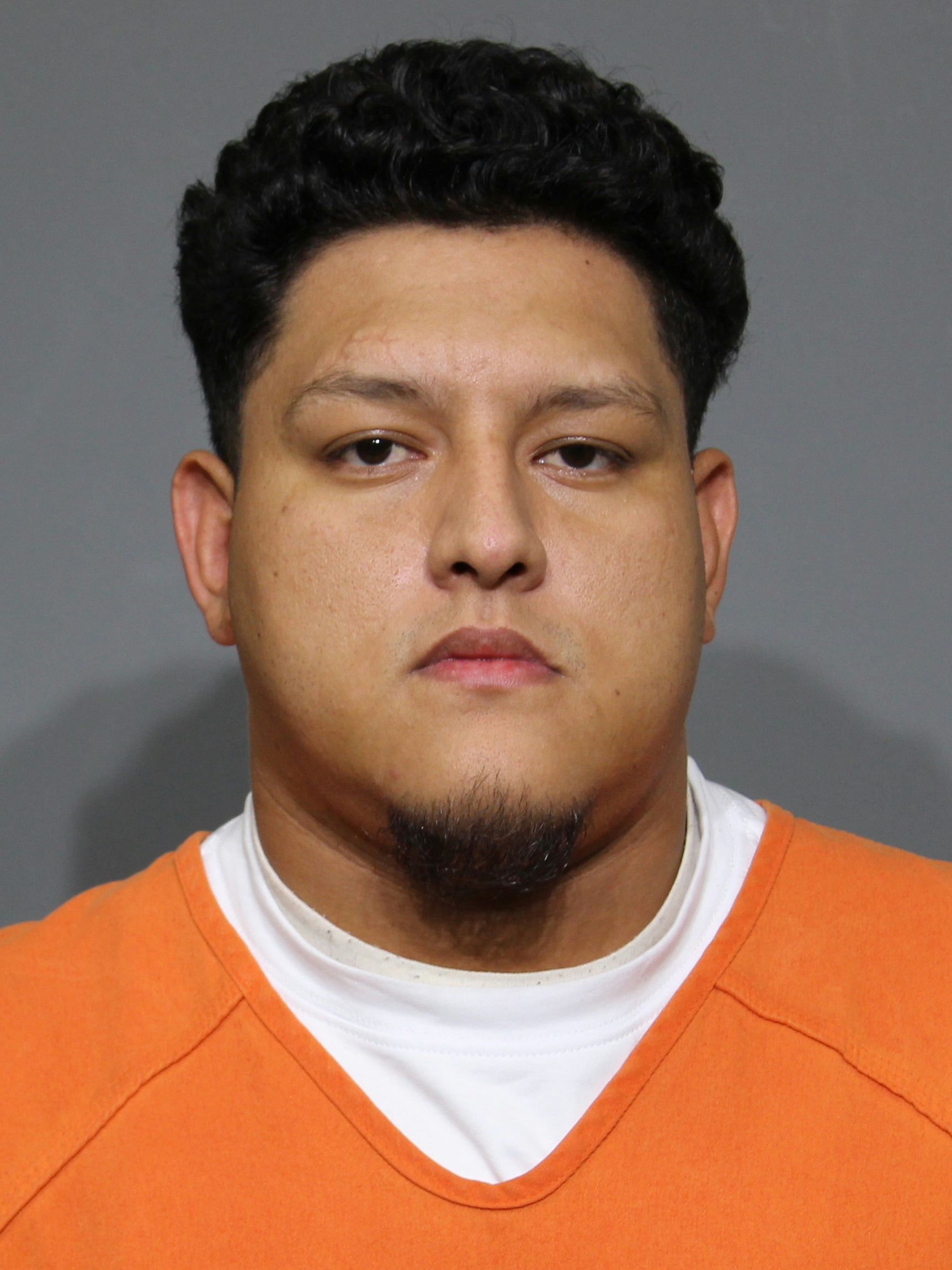 Booking photo for Mendoza Mendoza, Axel Johan