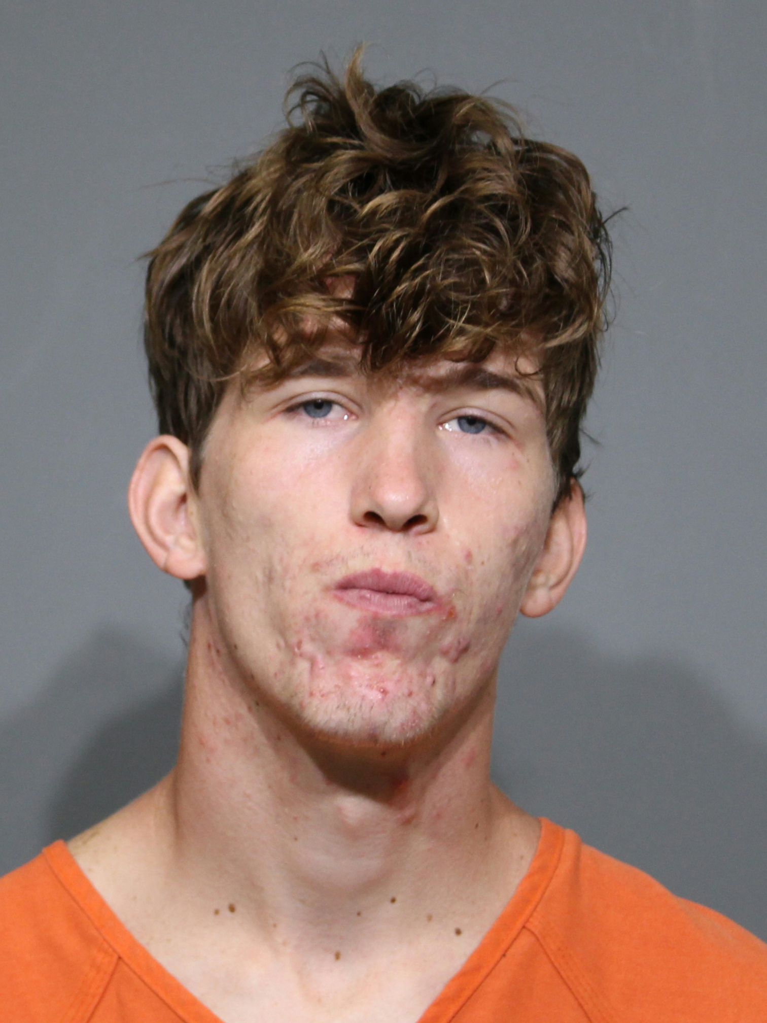 Booking photo for Oliver, Case Lee