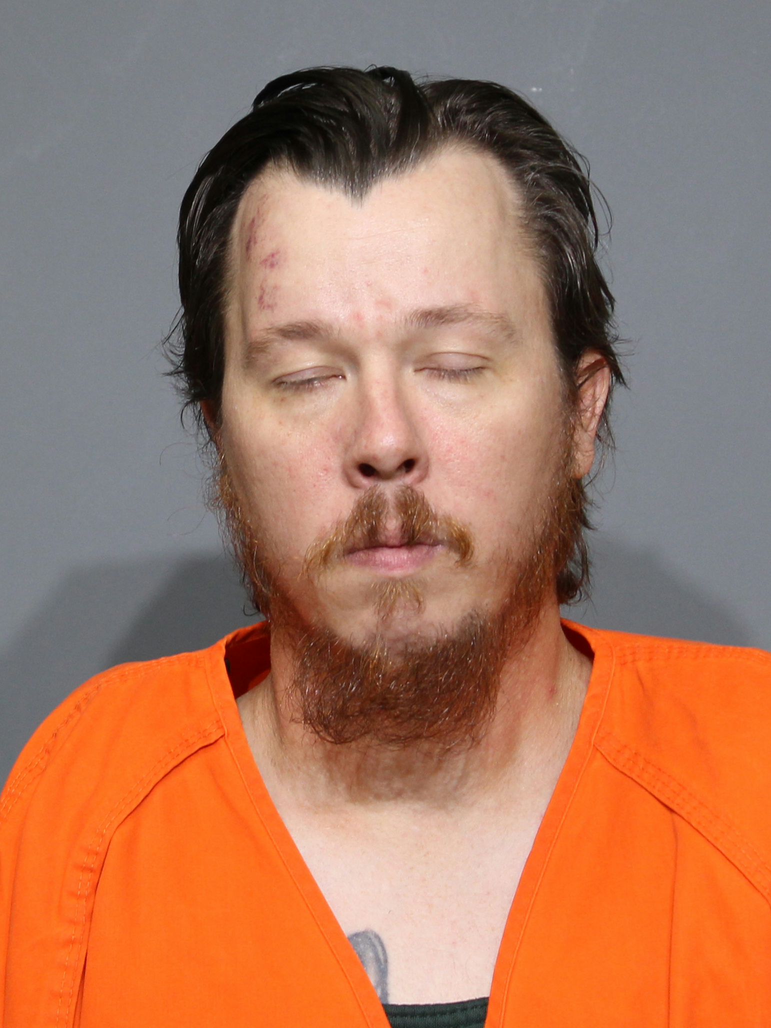 Booking photo for Hines, Aaron Ray