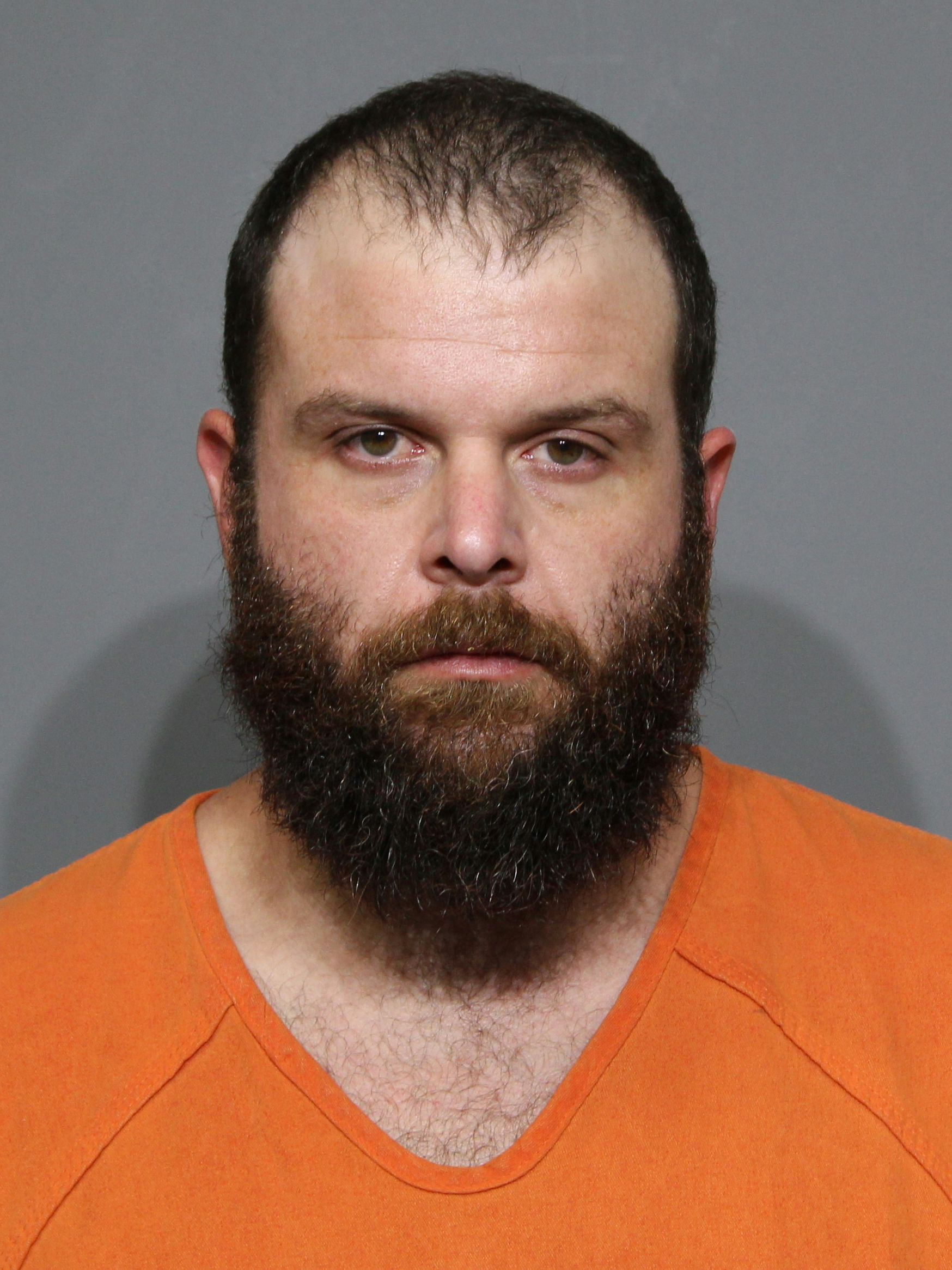 Booking photo for Robinson, William Gatlin
