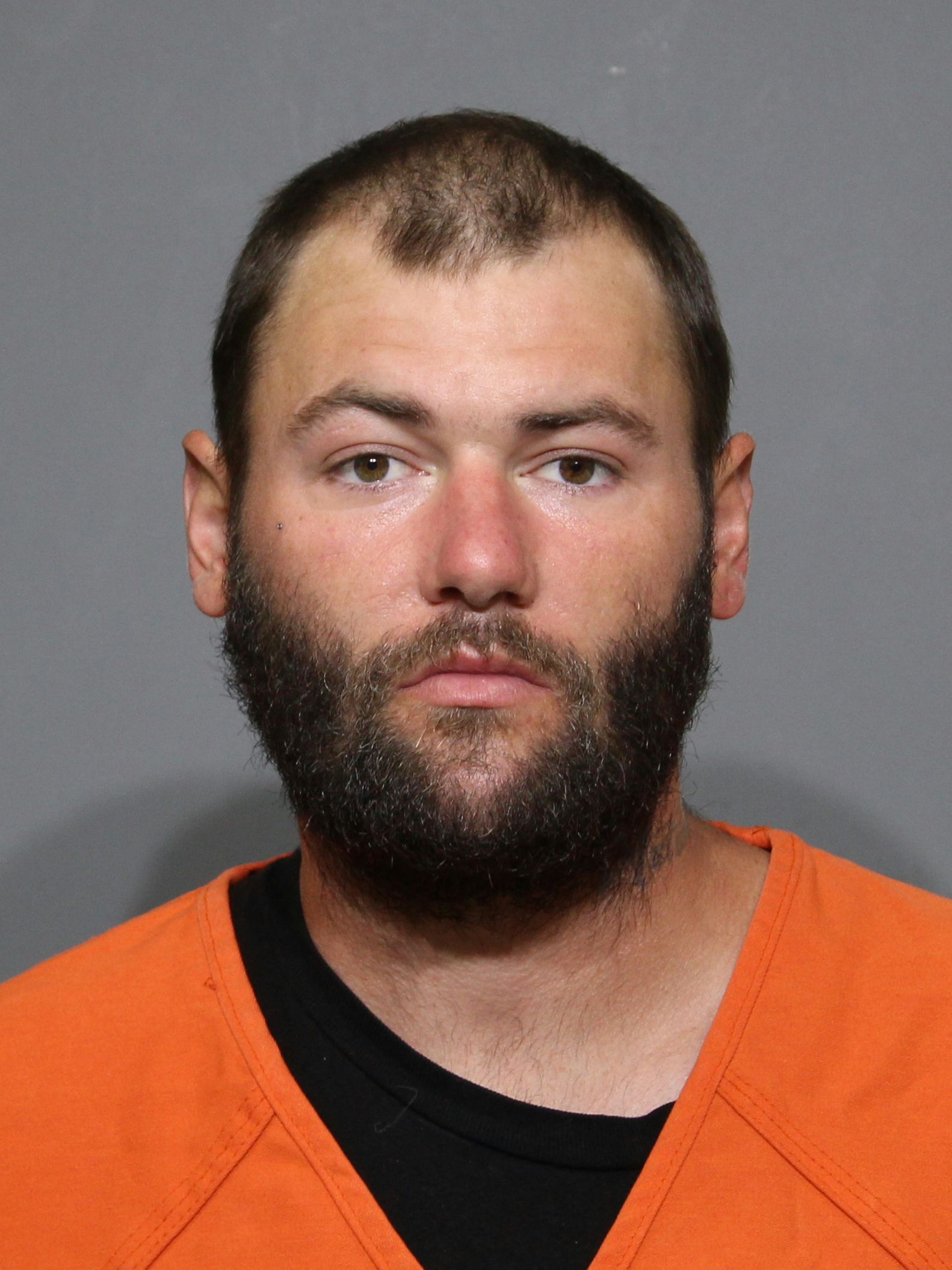 Booking photo for Hellerud, Aaron Joseph