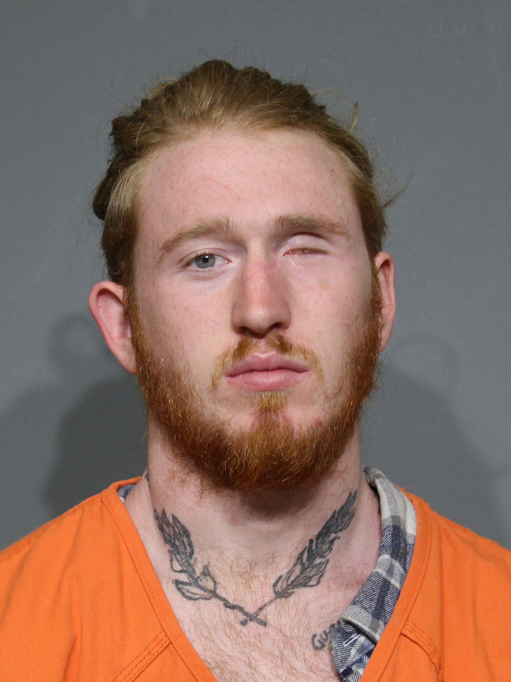 Booking photo for Williamson, Michael Timothy