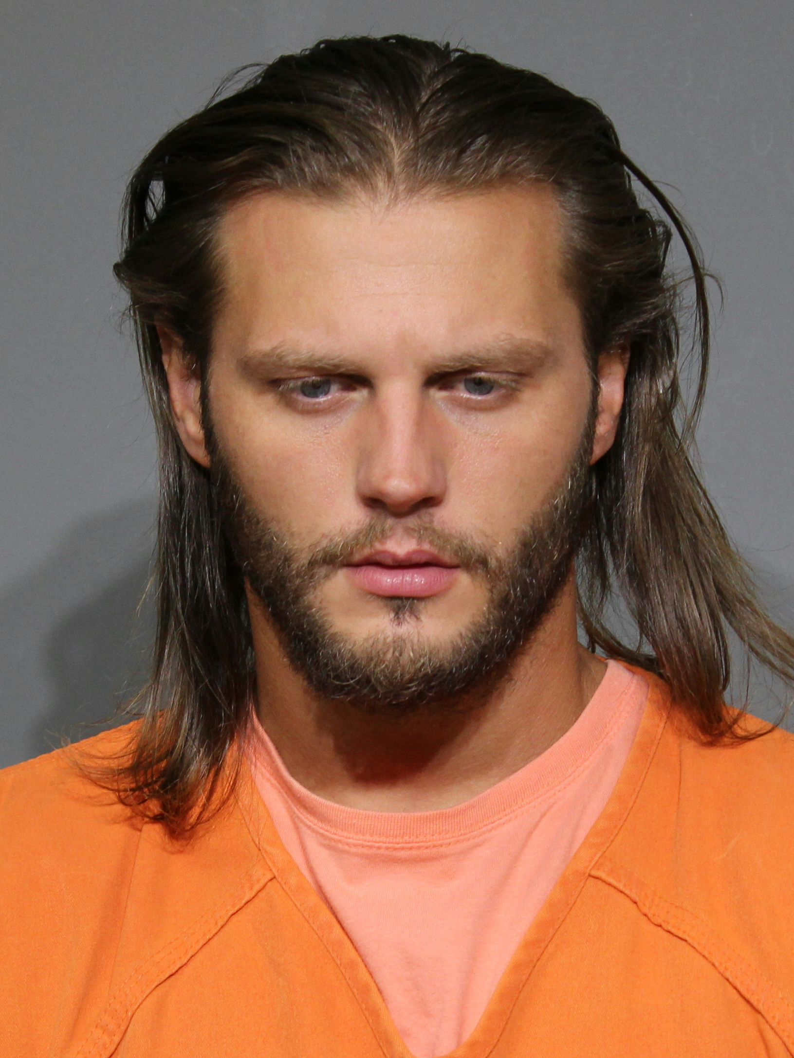 Booking photo for Adkins, Darryl Gene