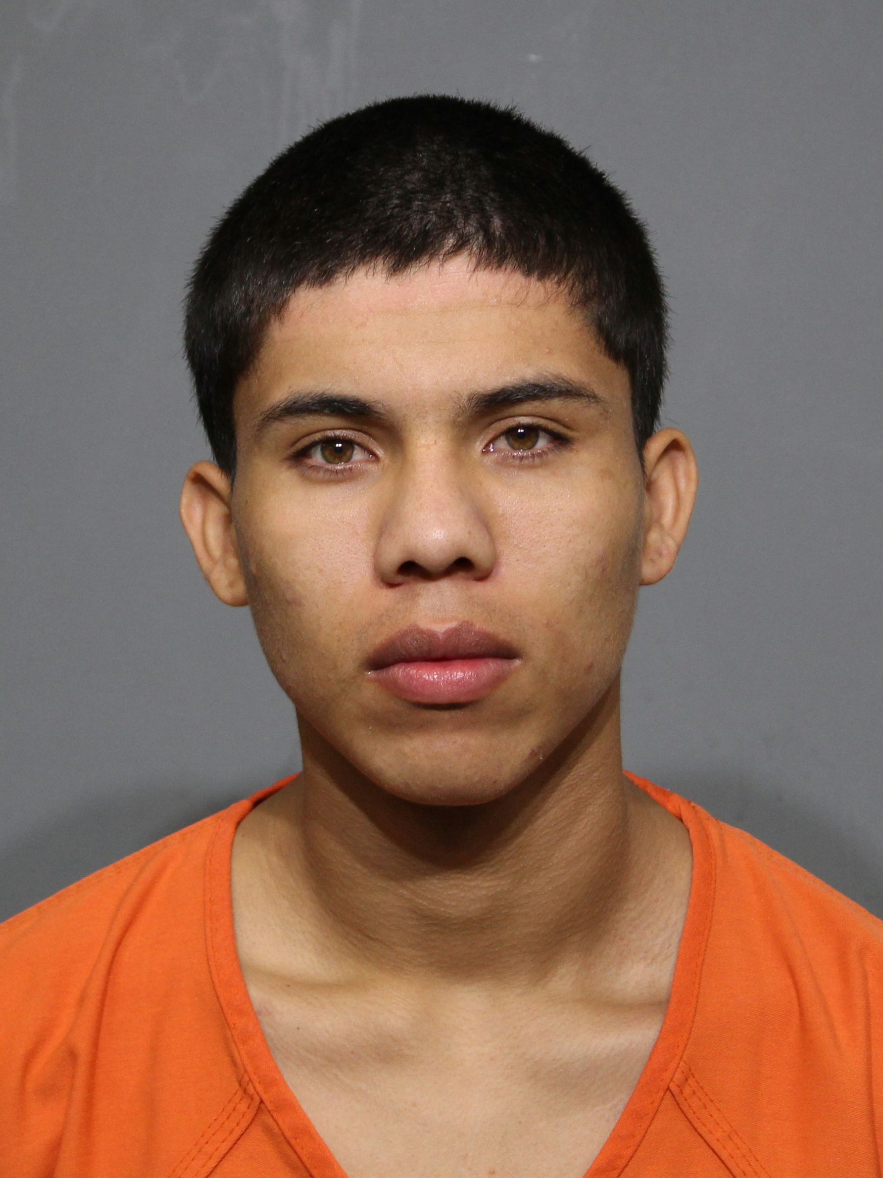Booking photo for Figueroa-Castillo, Enyoiber Rafael