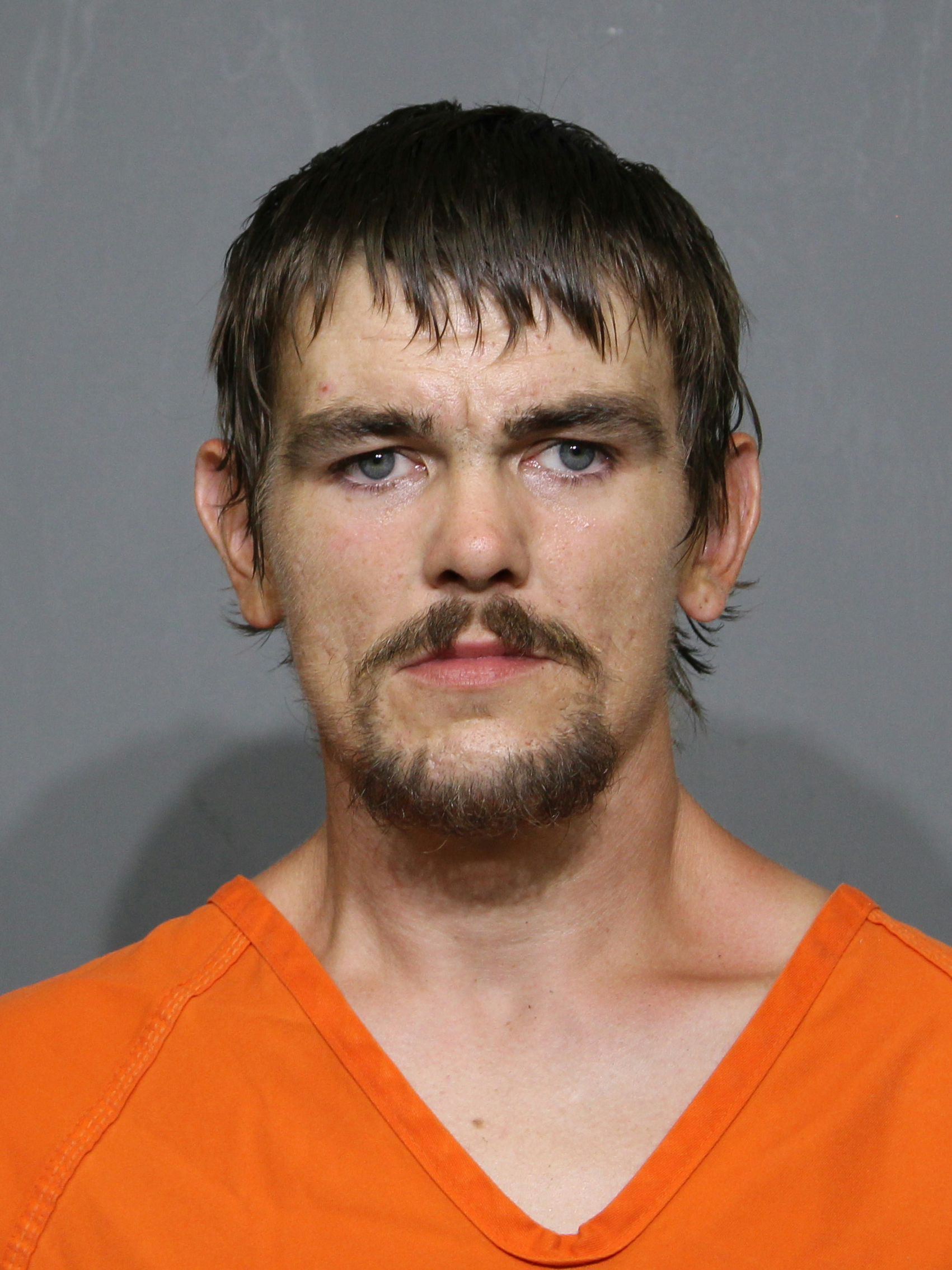 Booking photo for Fulghum, Damien Lee