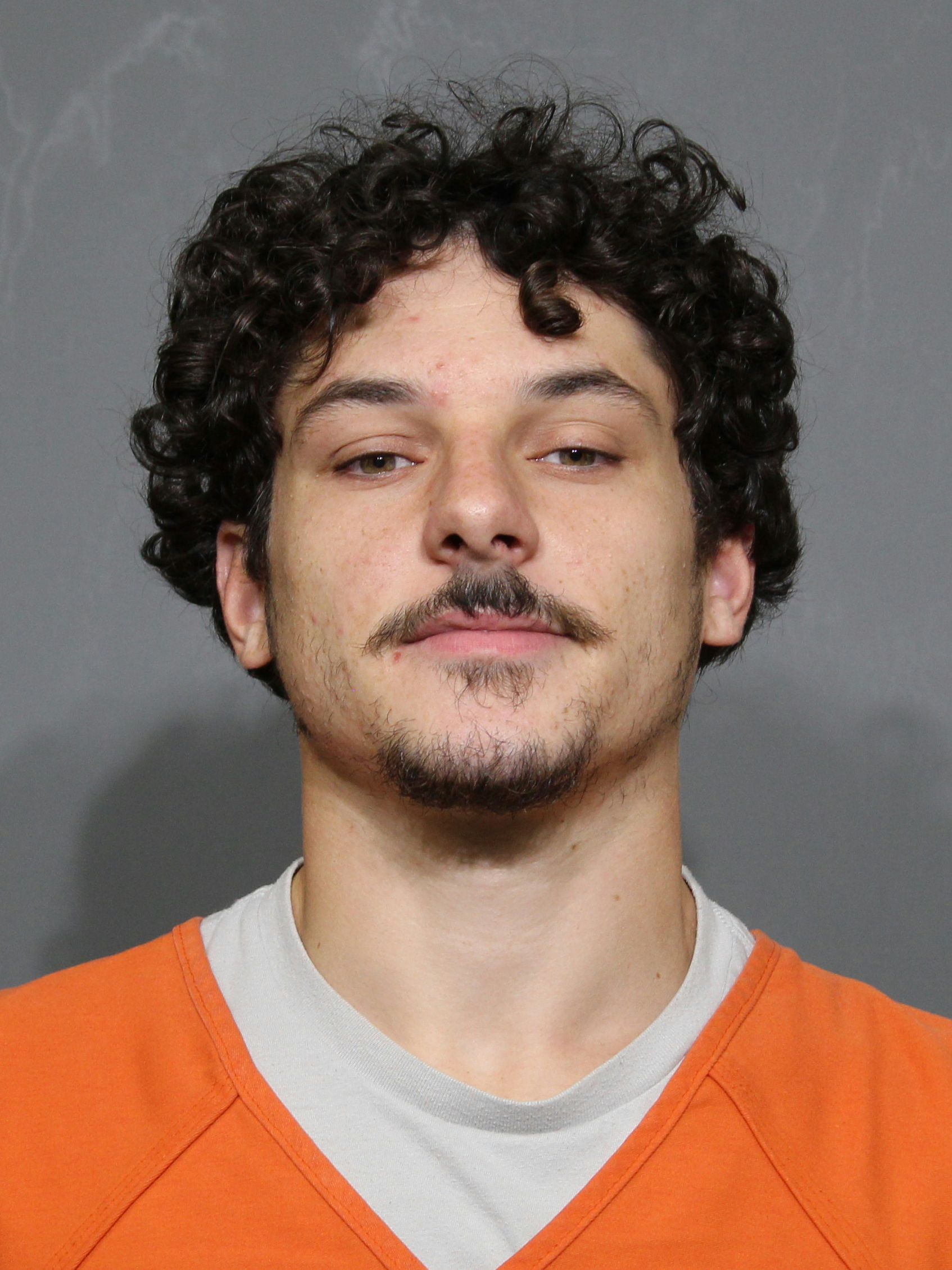 Booking photo for Talarico, Zachary Alexander