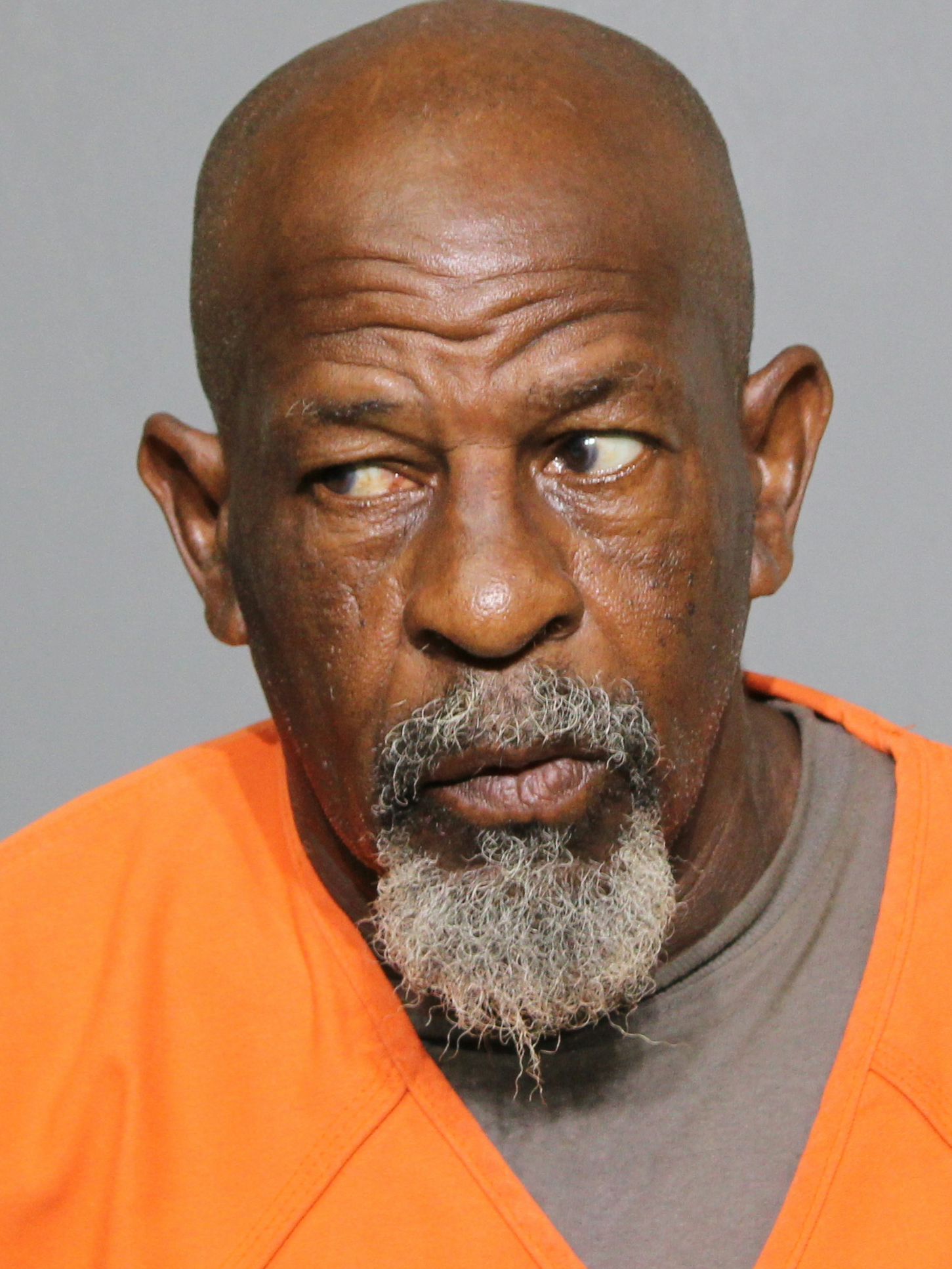 Booking photo for Freeman, Newton Osmund