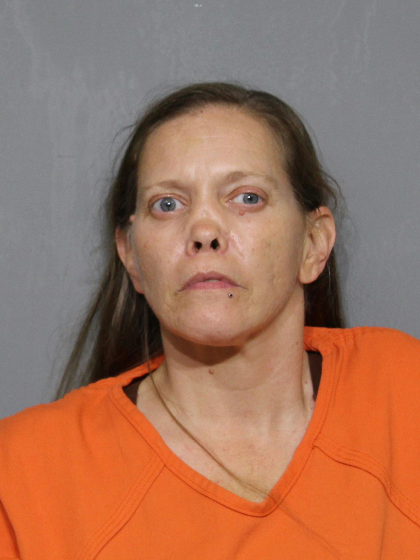 Booking photo for Apple, Tiffany Dawn