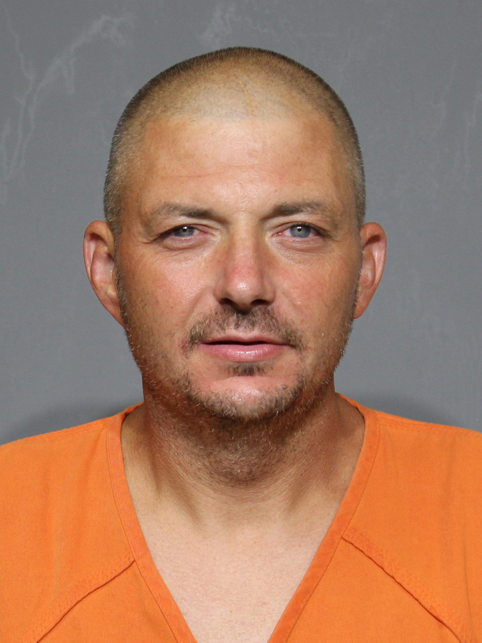 Booking photo for Hinson, William L
