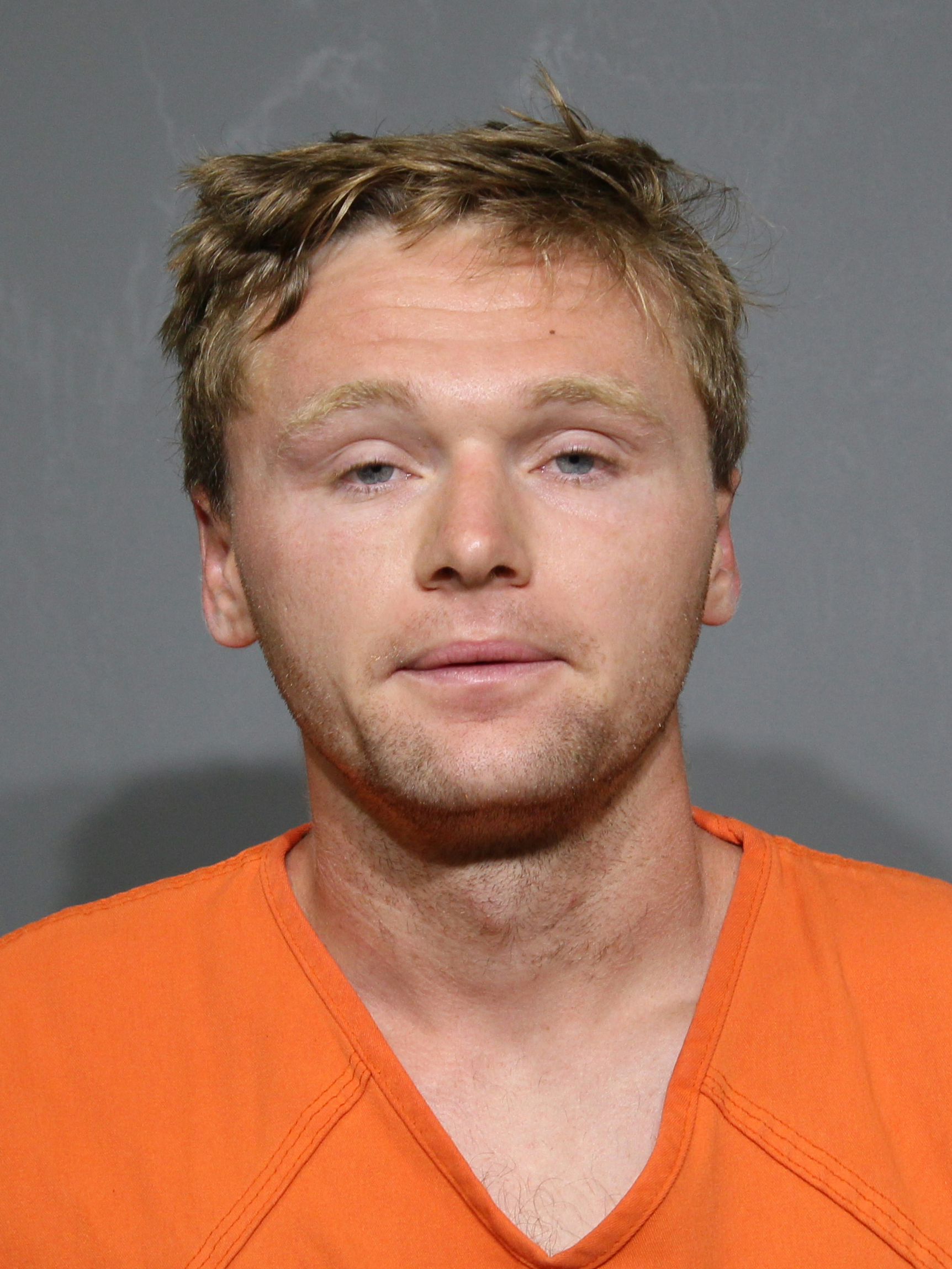Booking photo for Lewis, Gavin Genua