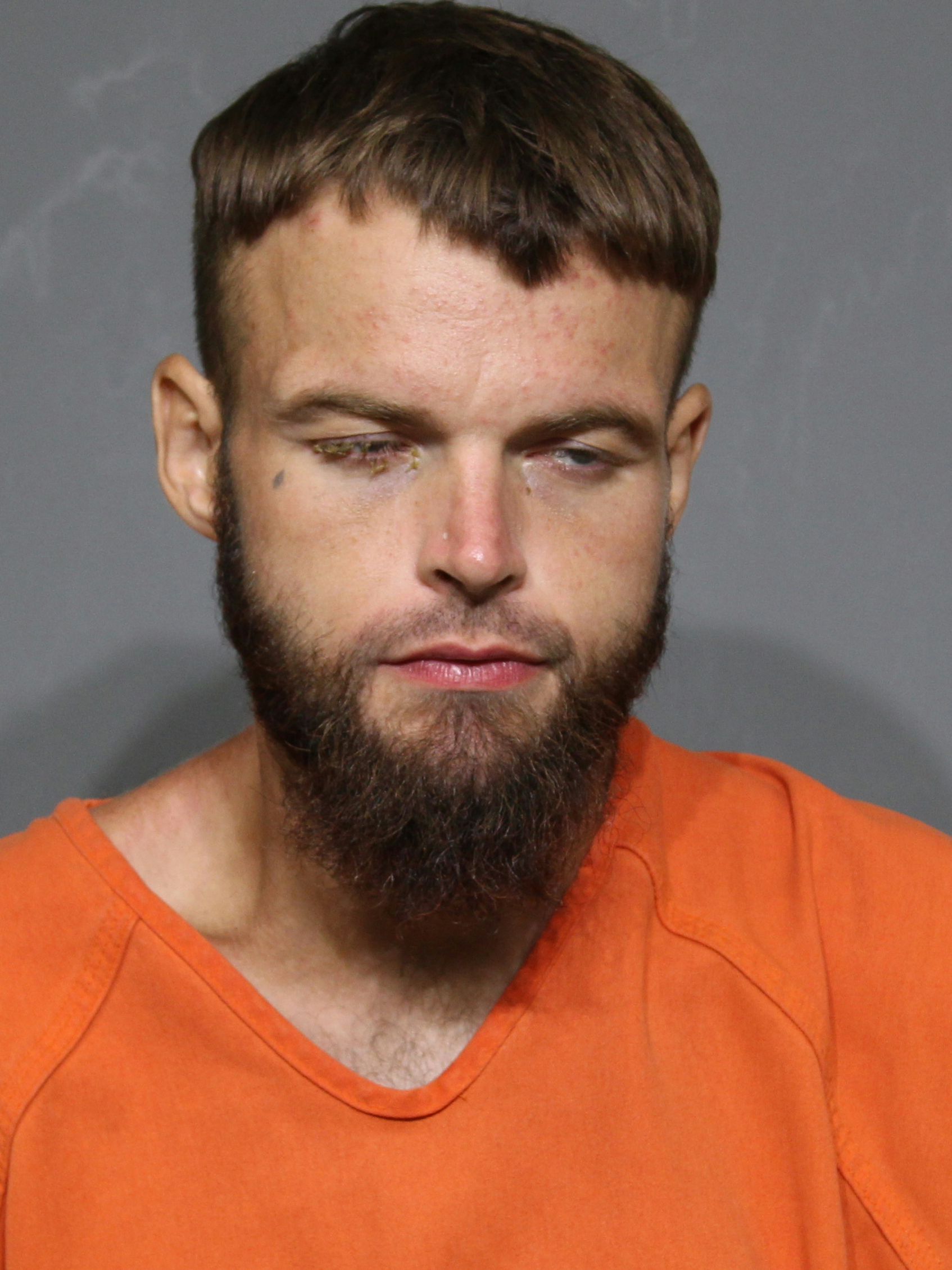 Booking photo for Meeks , Roger Dale
