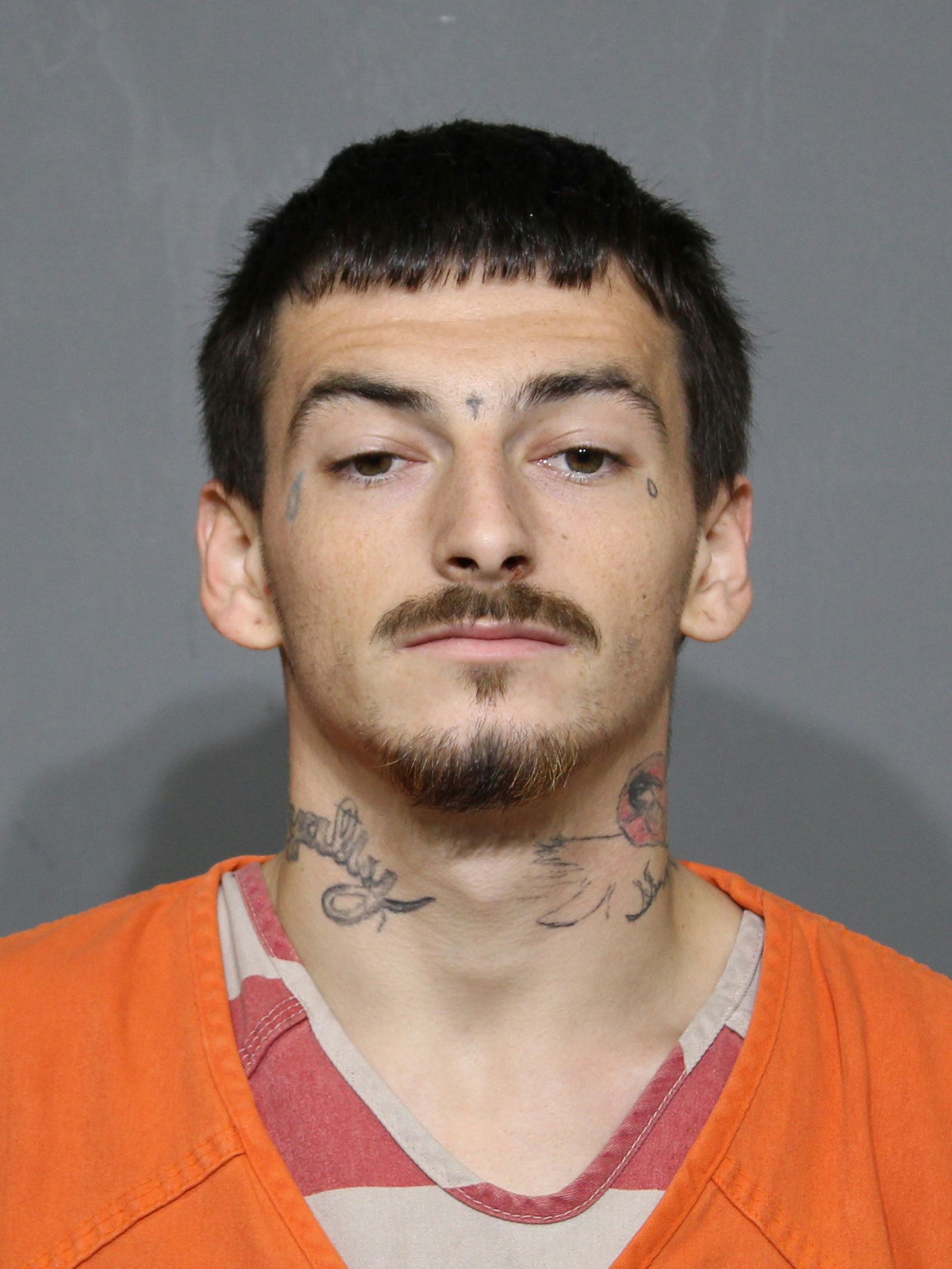 Booking photo for Duncan, Robert Edward-Widener