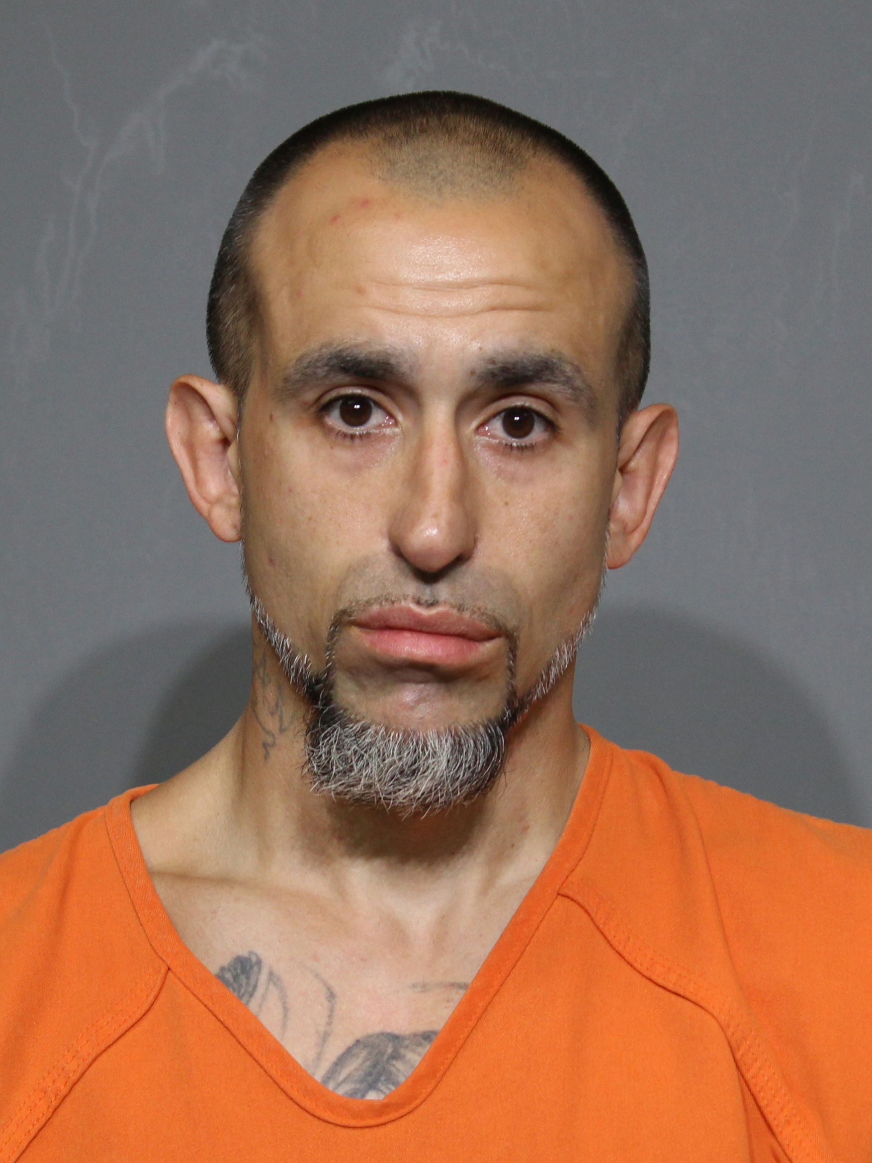 Booking photo for Richards, David Andrew