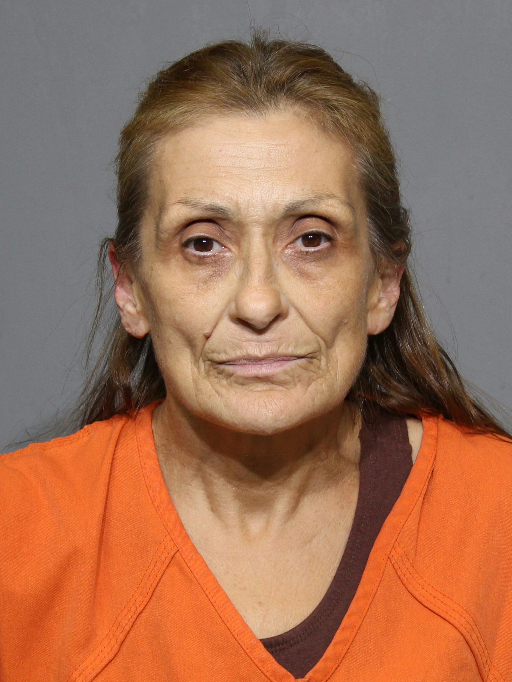 Booking photo for Richards, Janice Carole
