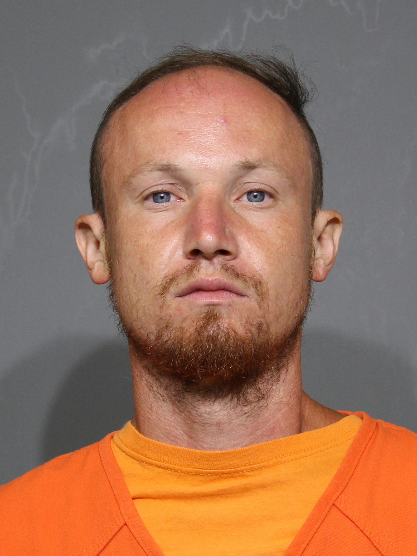 Booking photo for Watson, Bailey Neil