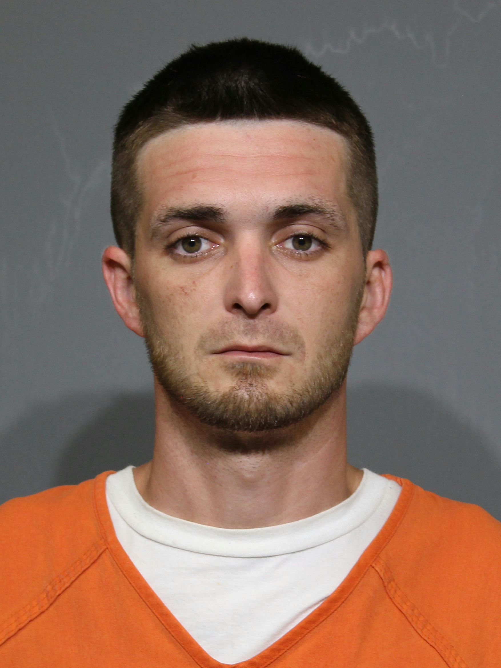 Booking photo for Adams, Michael Chase
