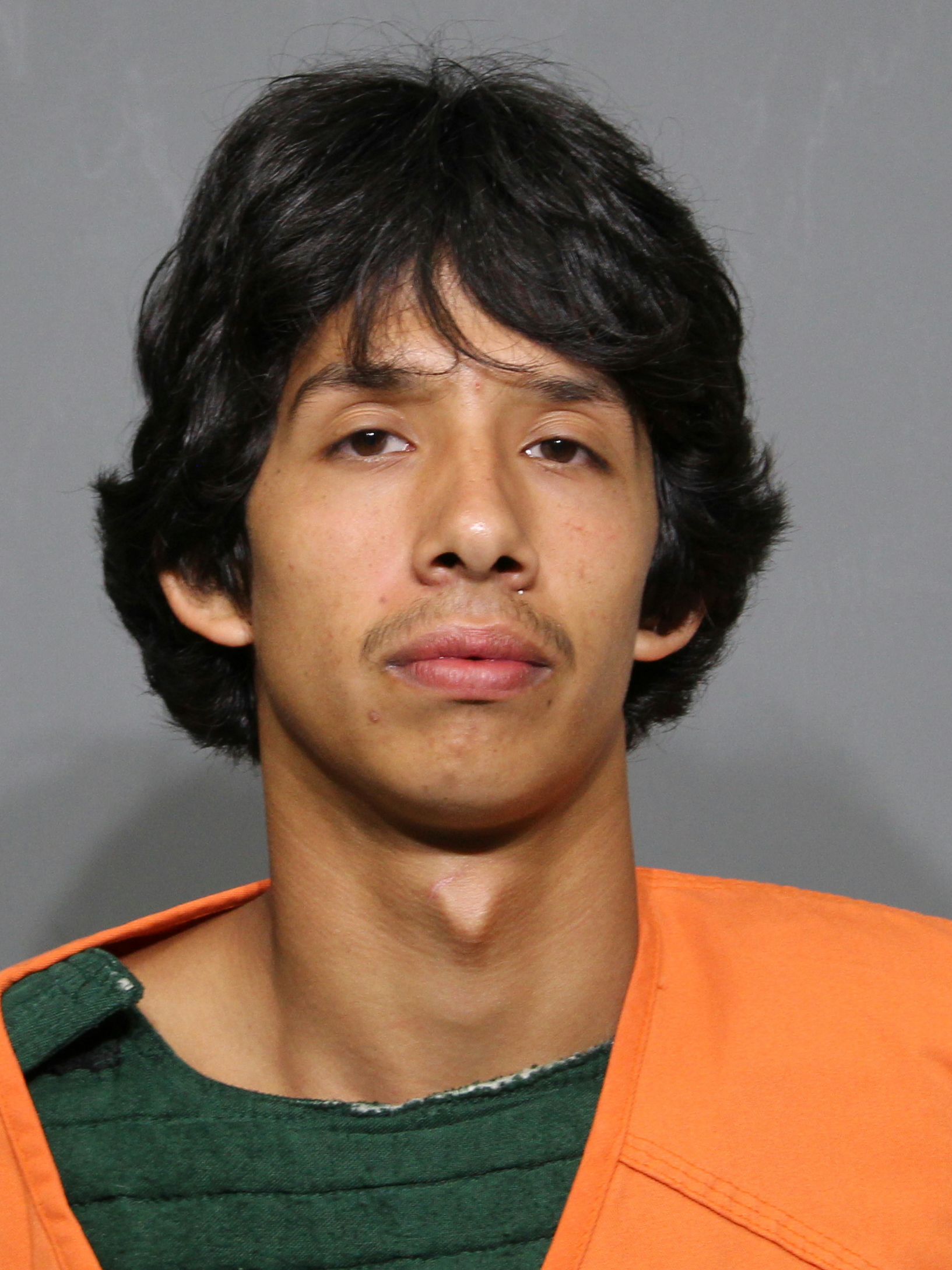 Booking photo for Mendoza, Miguel Steven