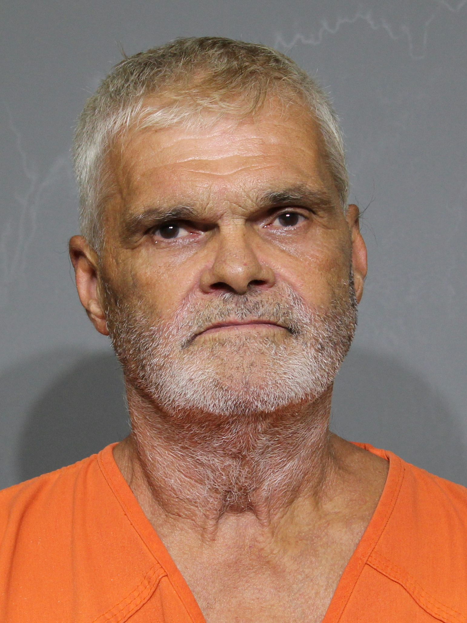 Booking photo for Lovelace, Roger Allen