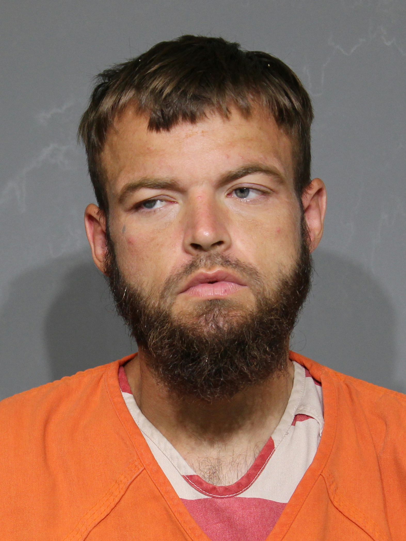 Booking photo for Meeks, Roger Dale