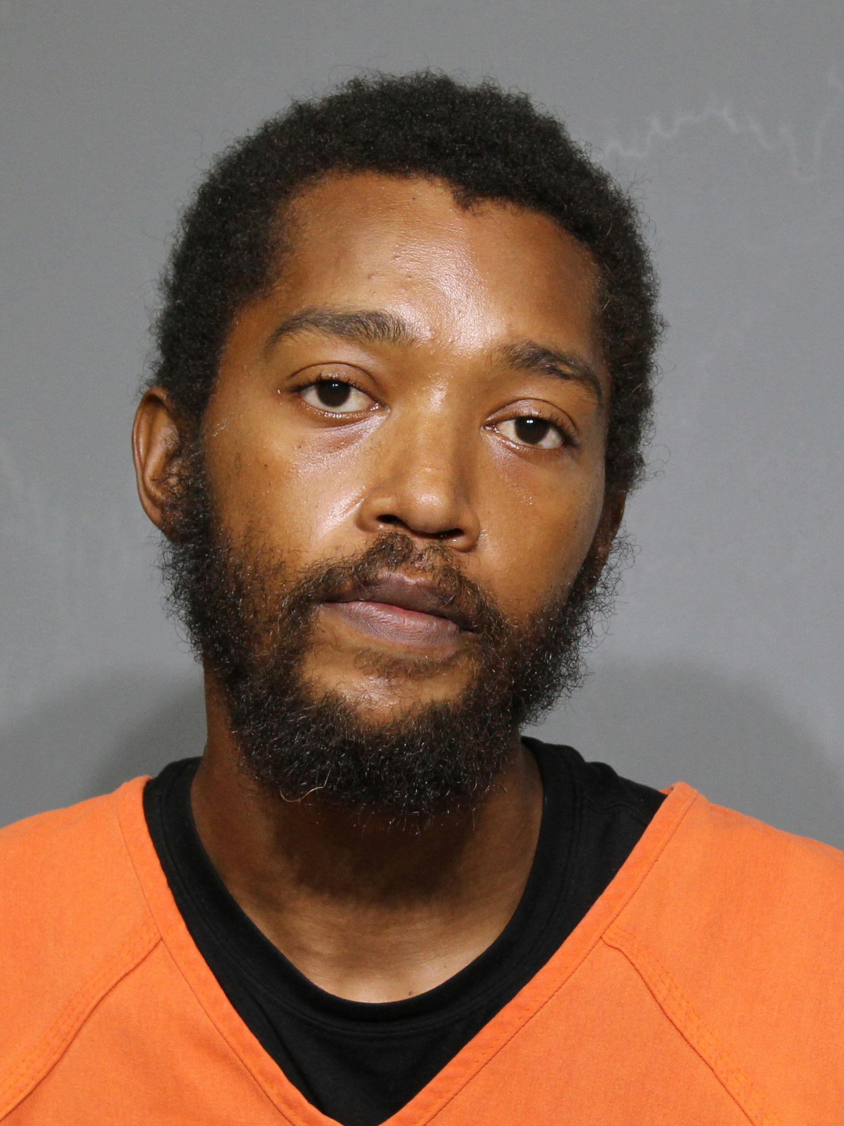 Booking photo for Richardson, Duane Terrelle