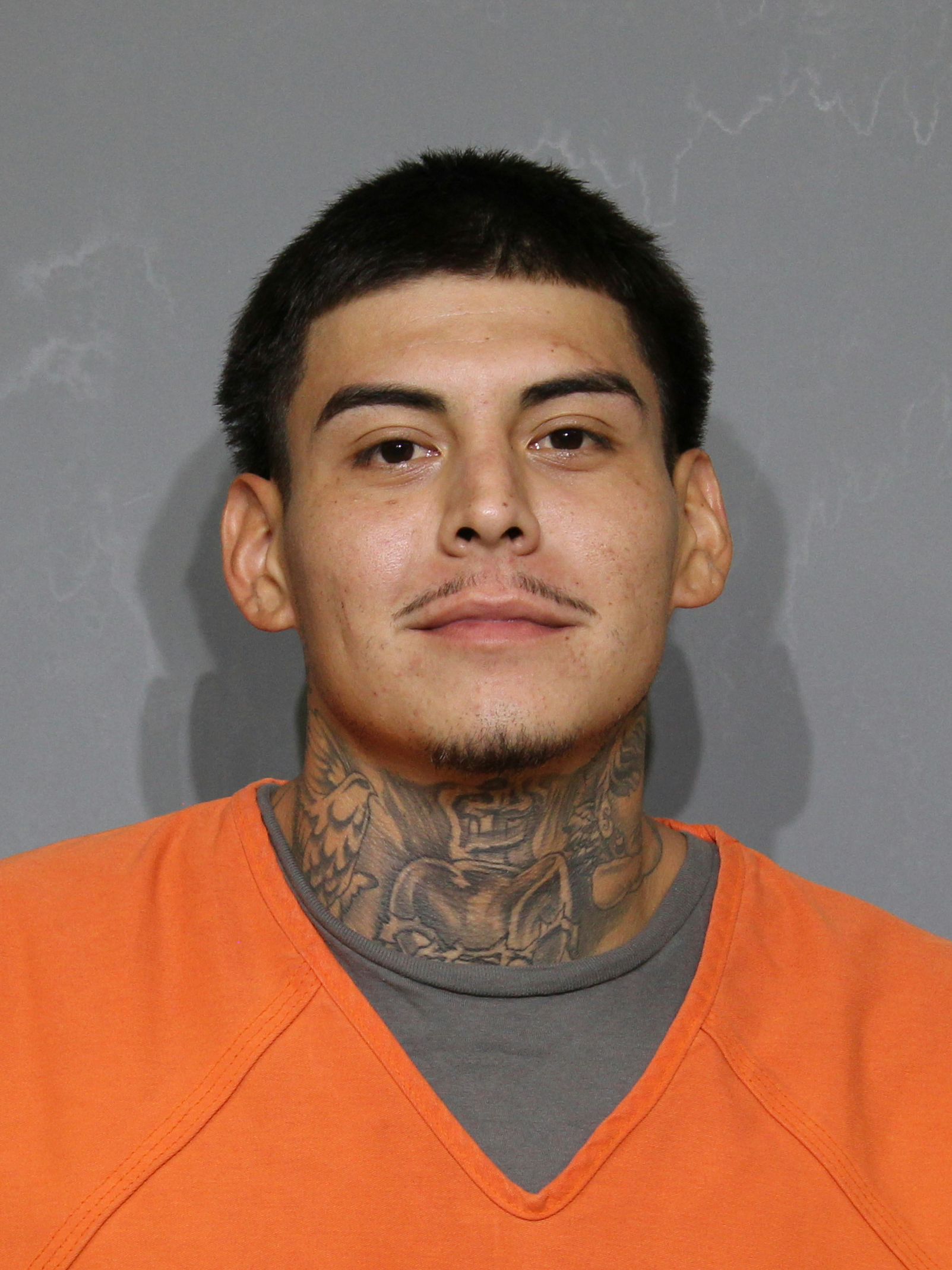 Booking photo for Bahena , Mateo