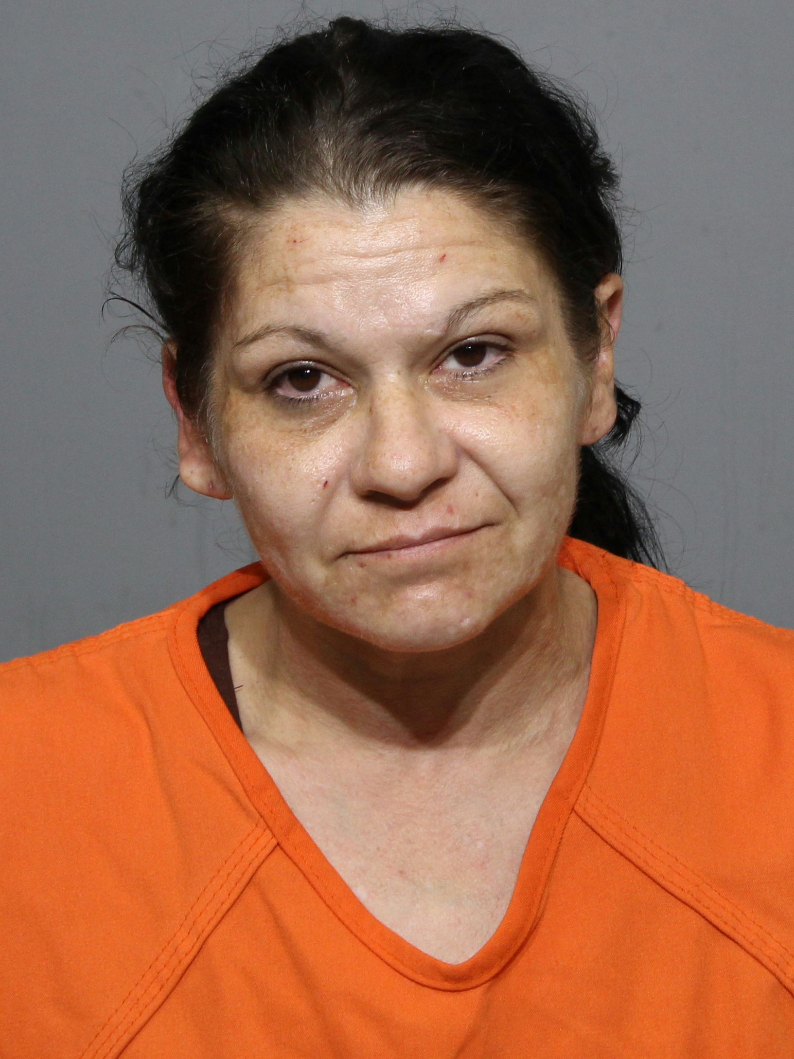 Booking photo for Rhyne, Kristen Michelle