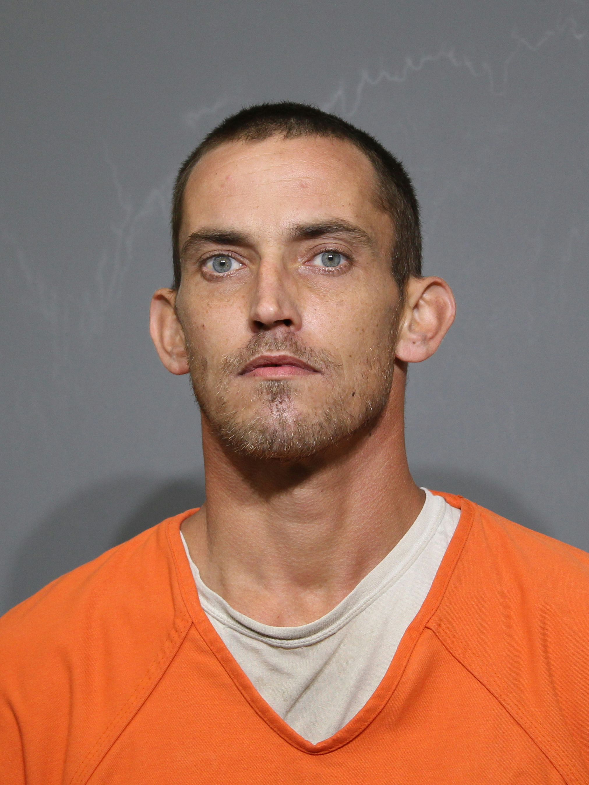 Booking photo for Jinks, Michael Edward