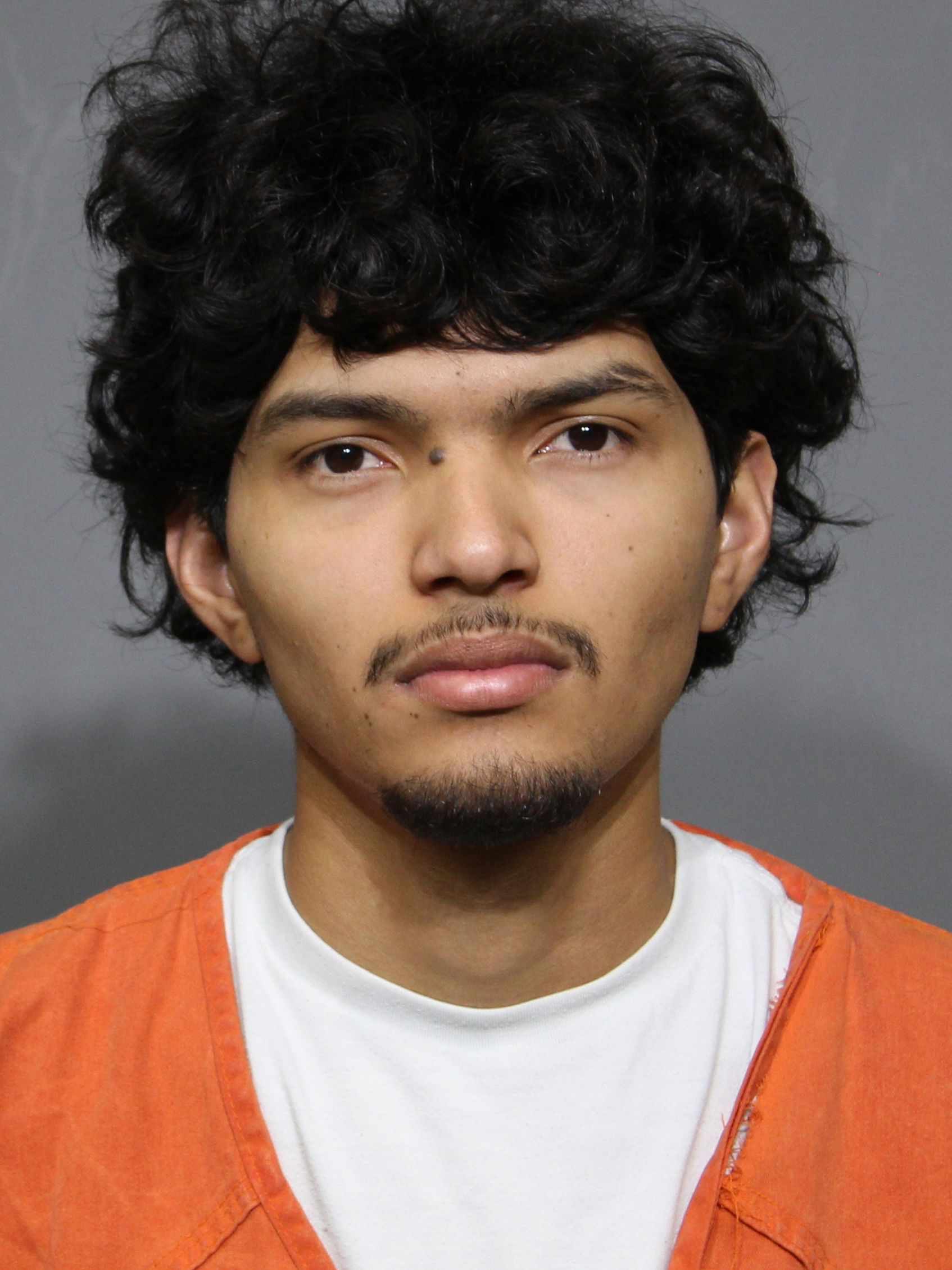 Booking photo for Mejia Martinez, Tulio Cesar
