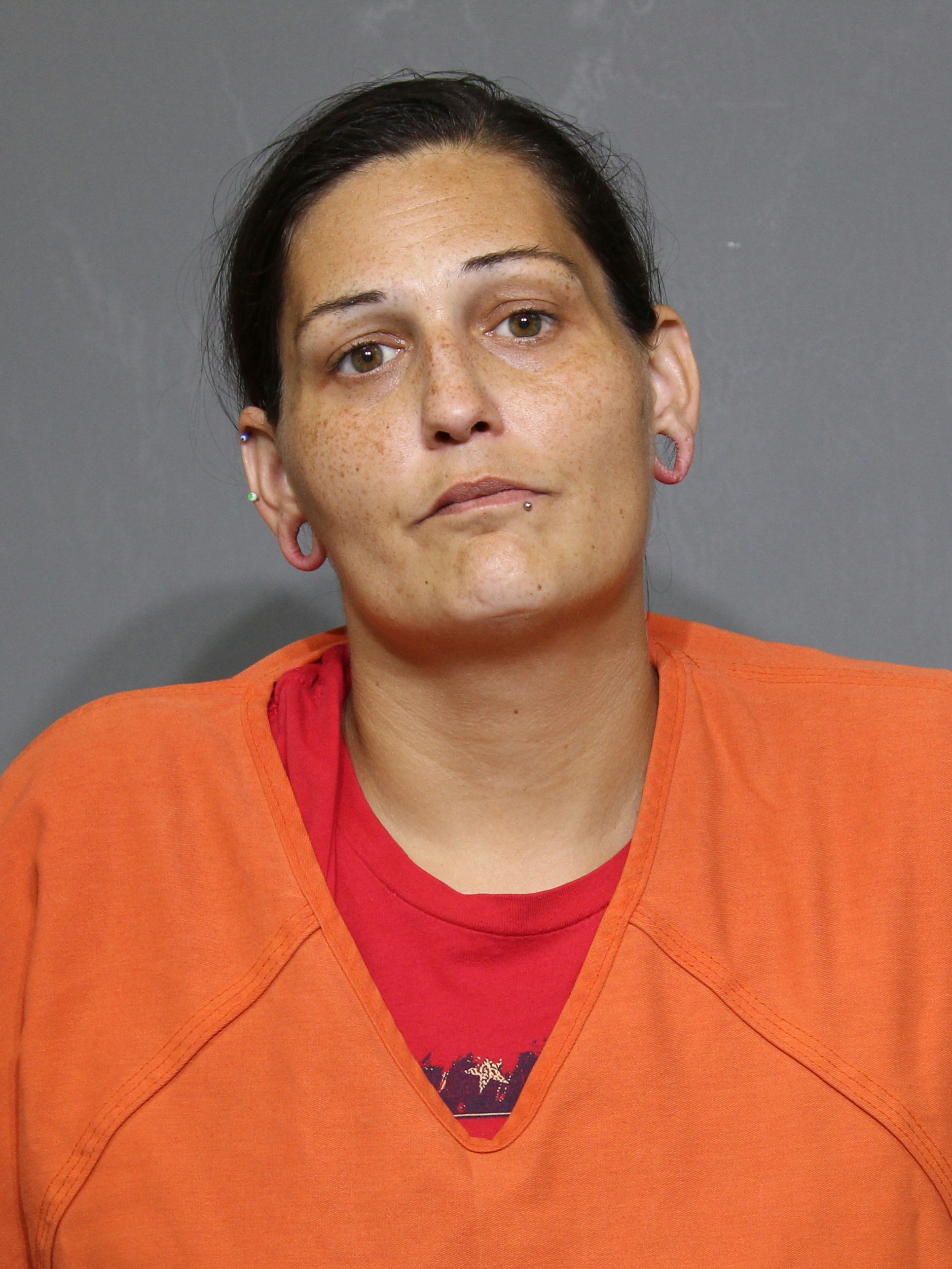 Booking photo for Hamacher, Heather Elizabeth
