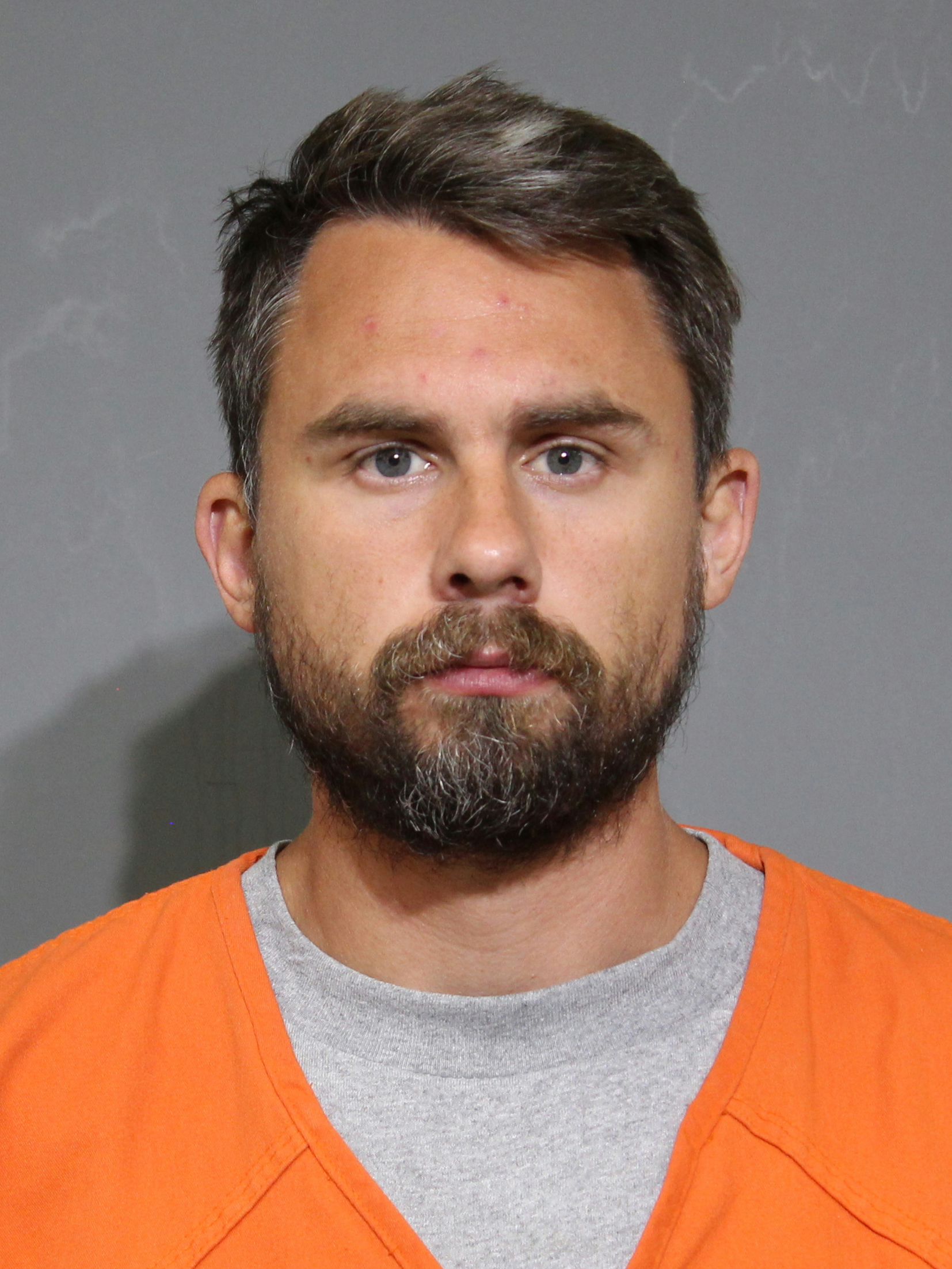 Booking photo for Godwin, Andrew Louis