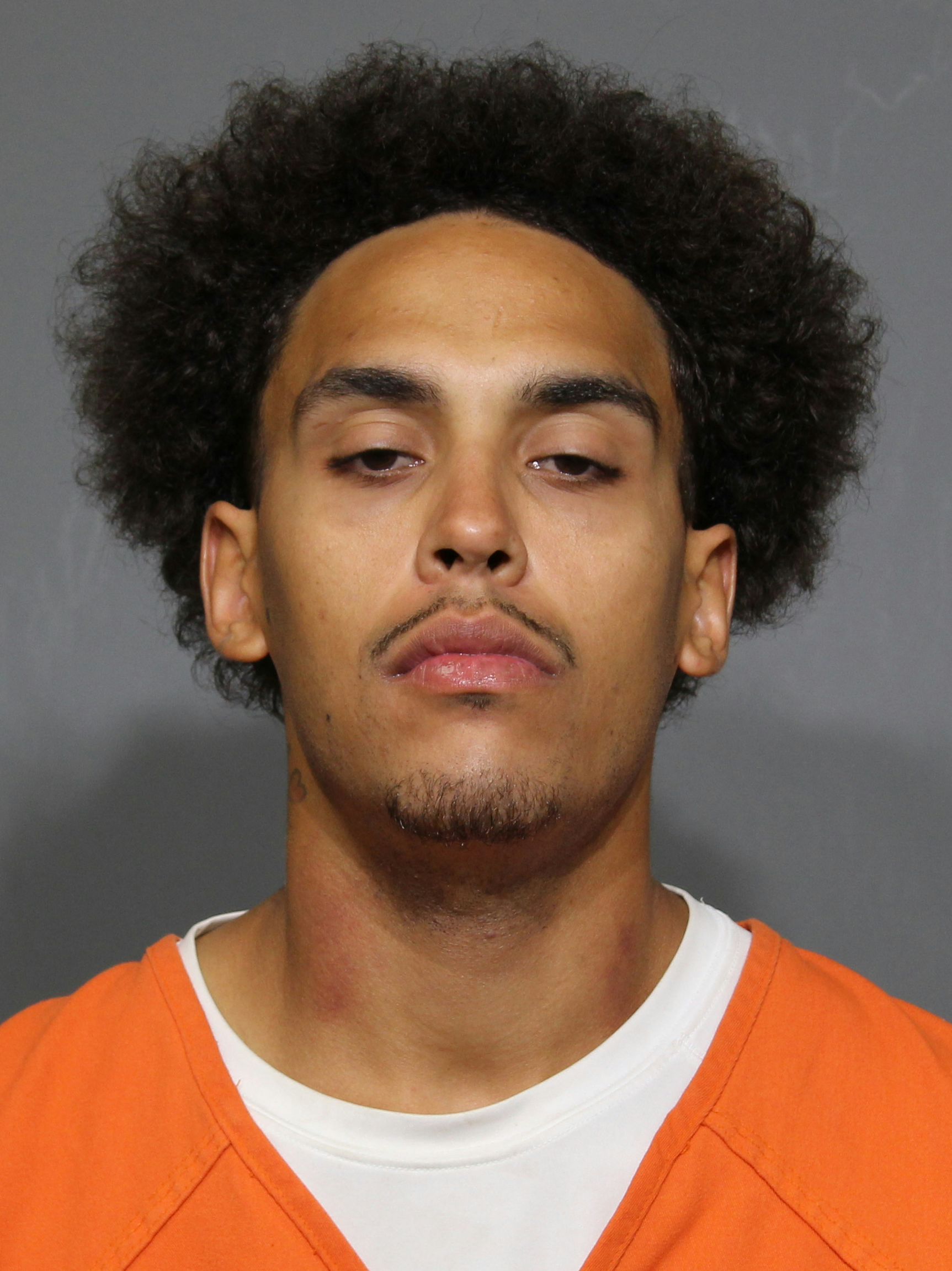 Booking photo for Harbour, Nathan Lashaun