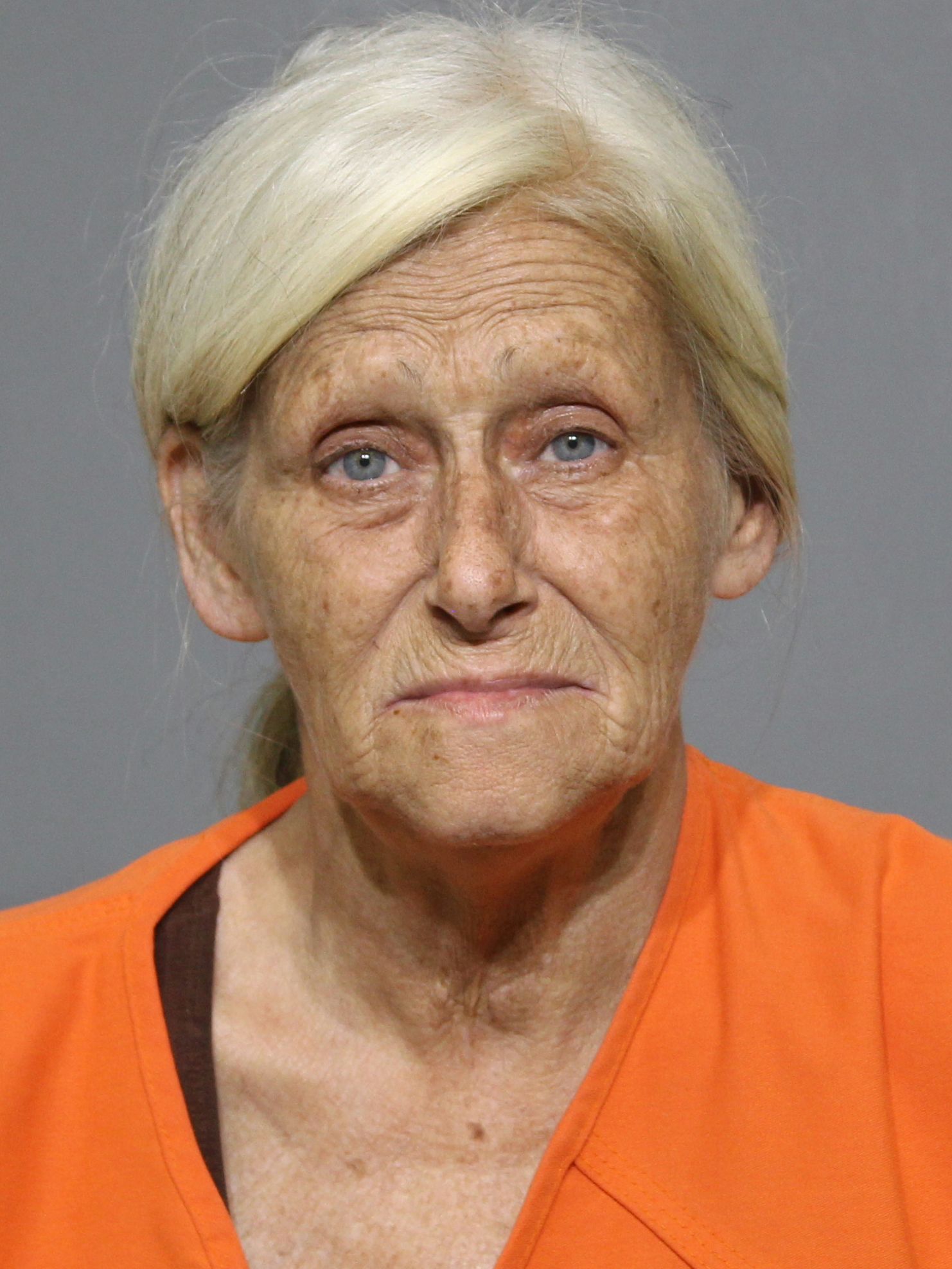 Booking photo for Seitz, Gina Renee
