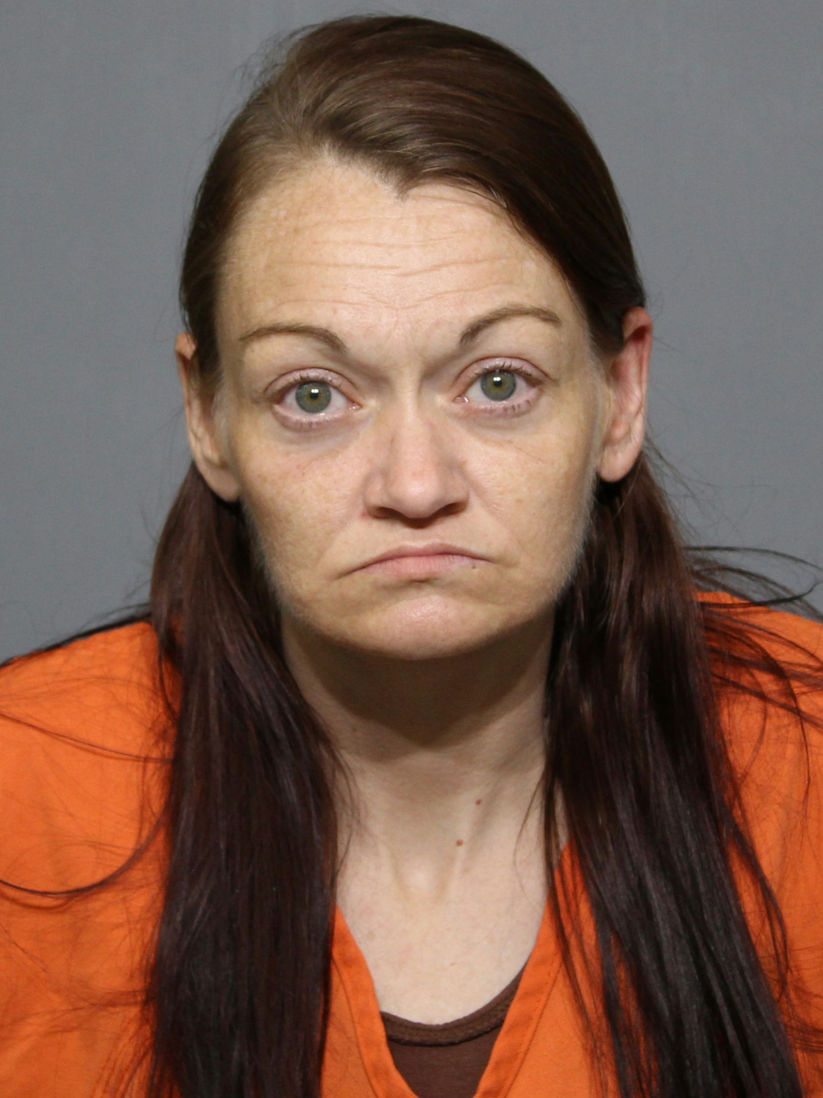 Booking photo for Lanier , Brittney Carollyn