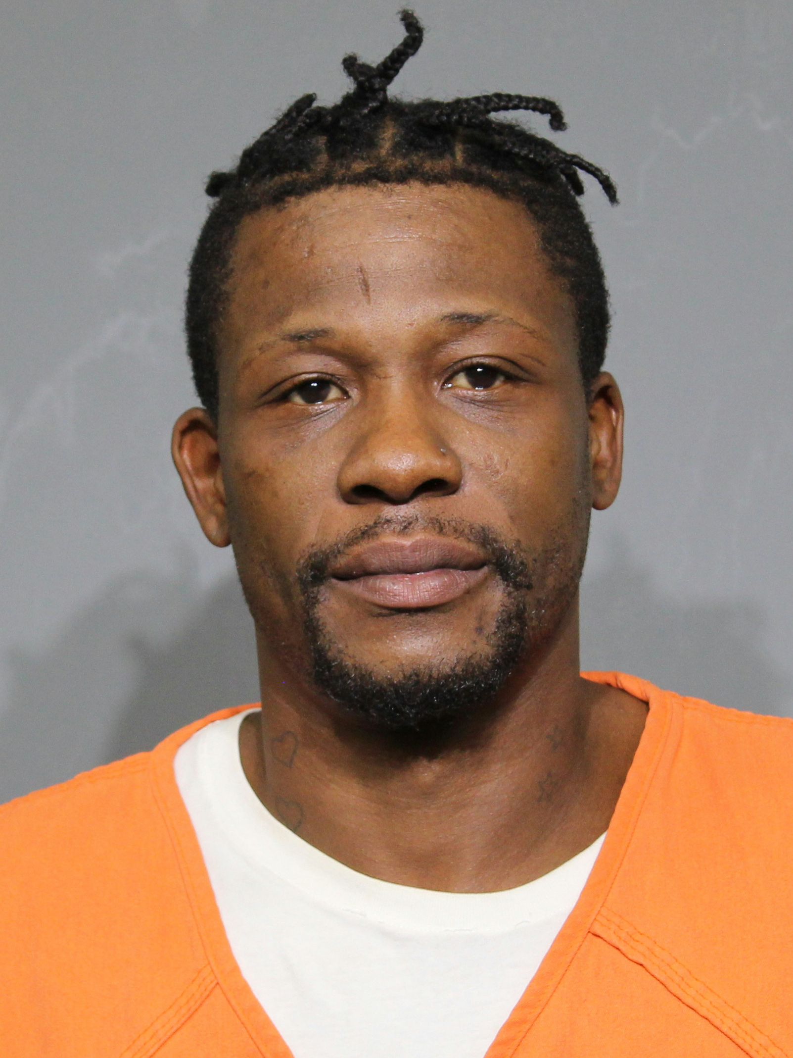 Booking photo for Johnson, Laurise Devan