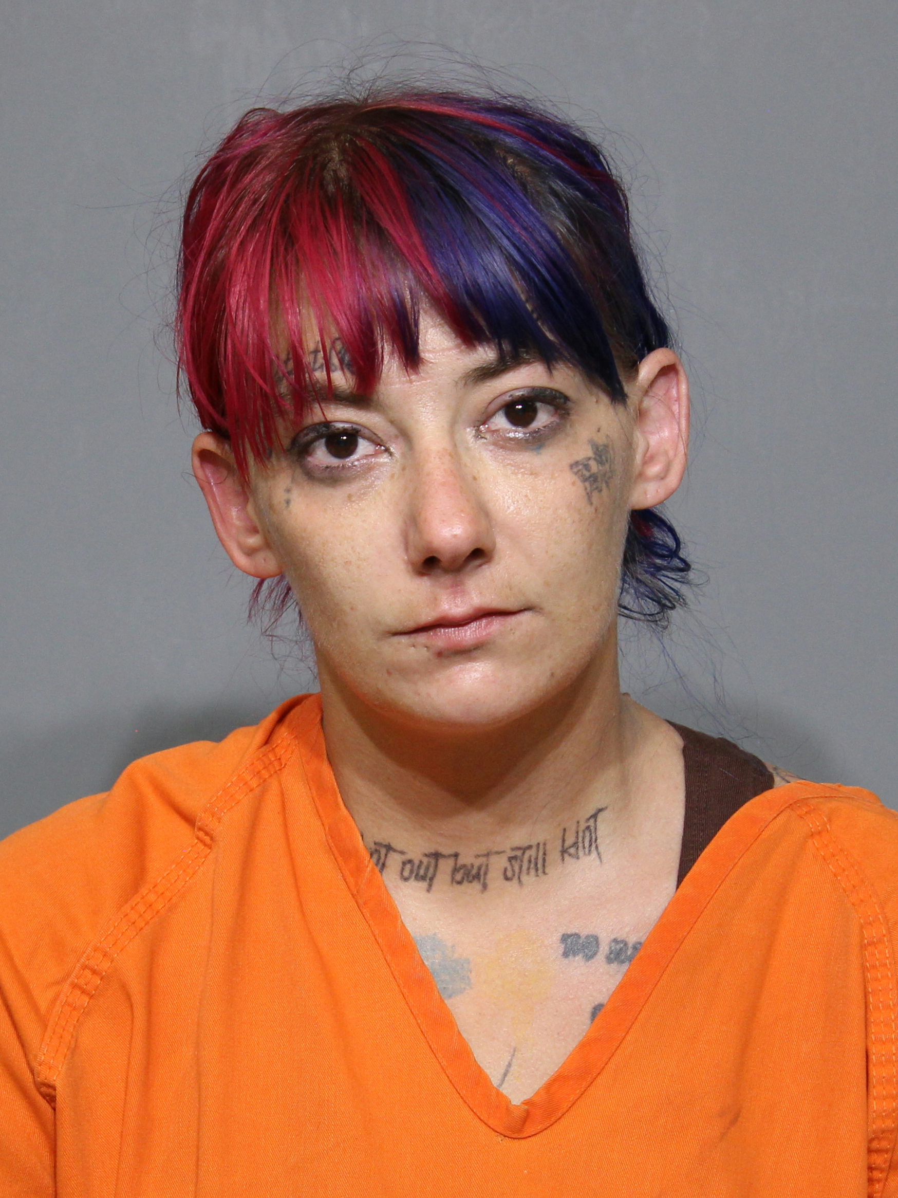 Booking photo for Horne, Whitney Sueann