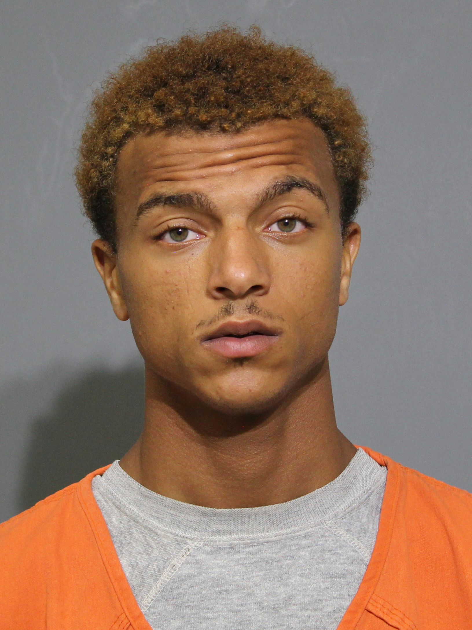 Booking photo for Robinson, Brandon Mcneil