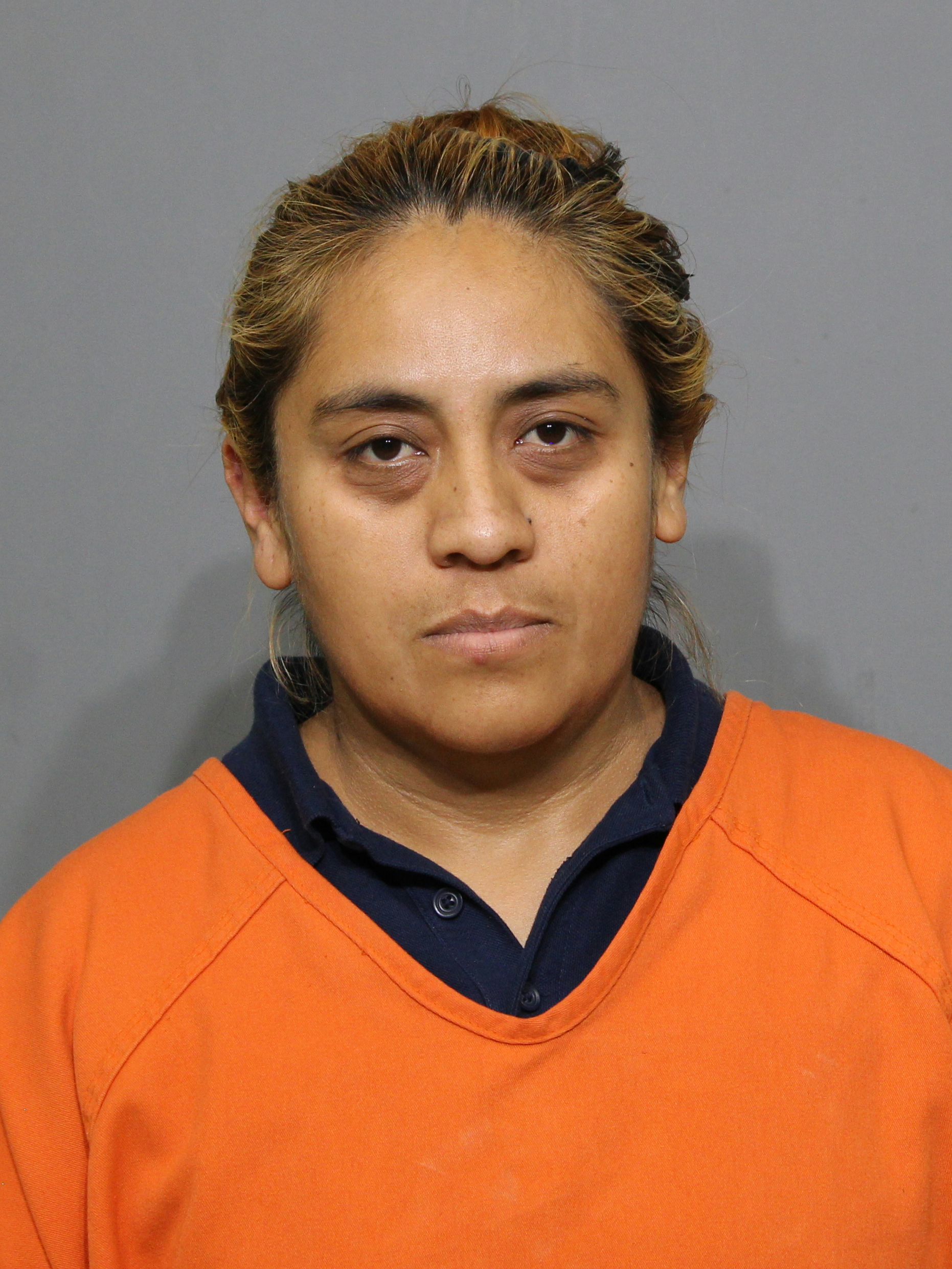 Booking photo for Santos Mellado, Ana Ruth