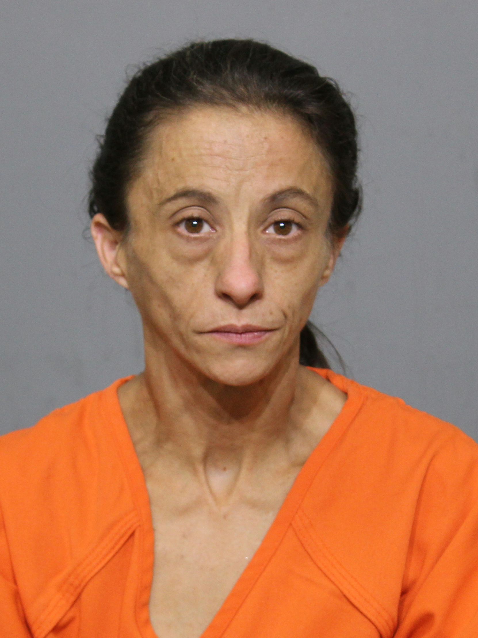 Booking photo for Nester, Amy Coffey