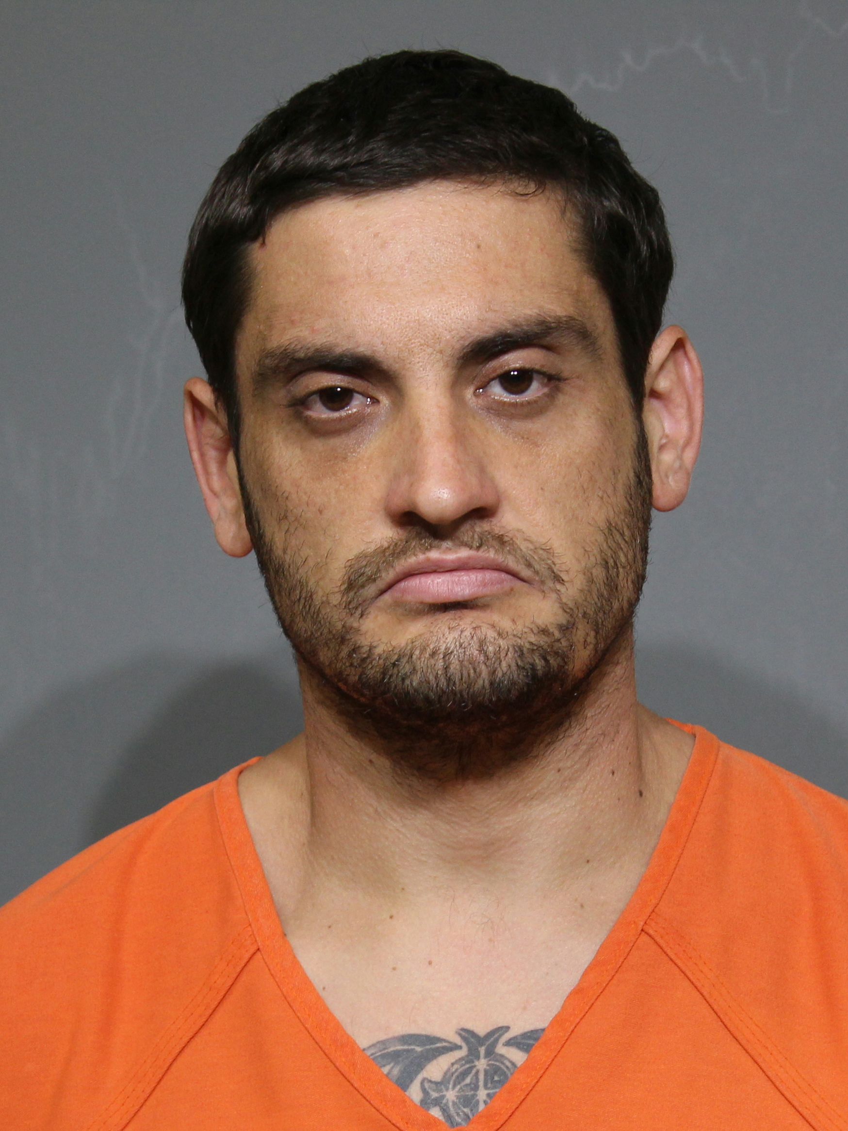 Booking photo for Auer, James William