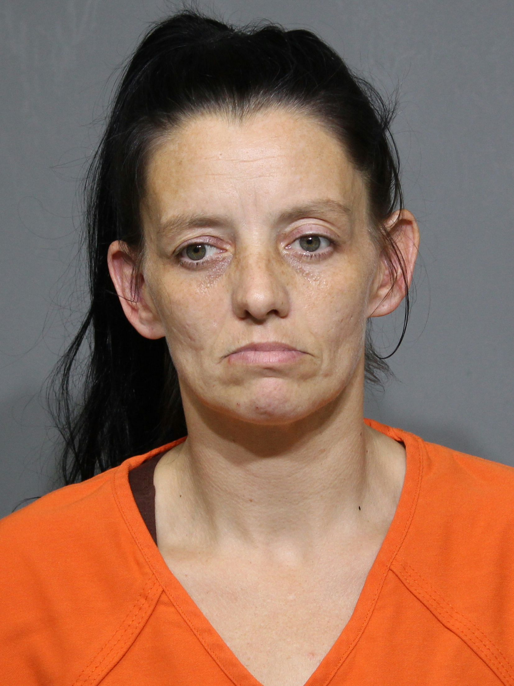 Booking photo for Polk, Robbin Annet