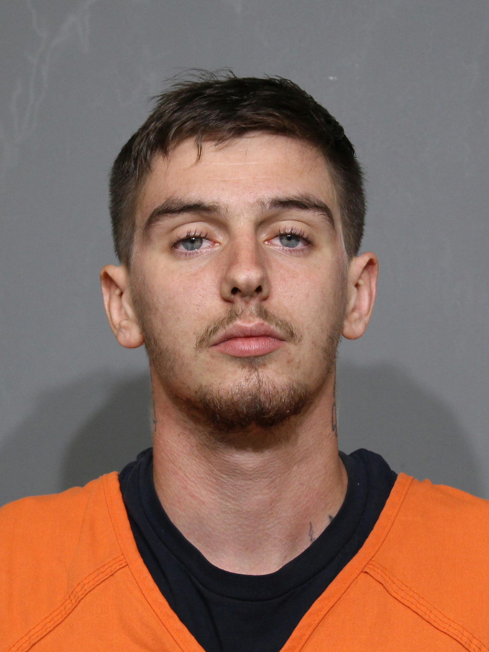 Booking photo for Watkins, Christian Gary