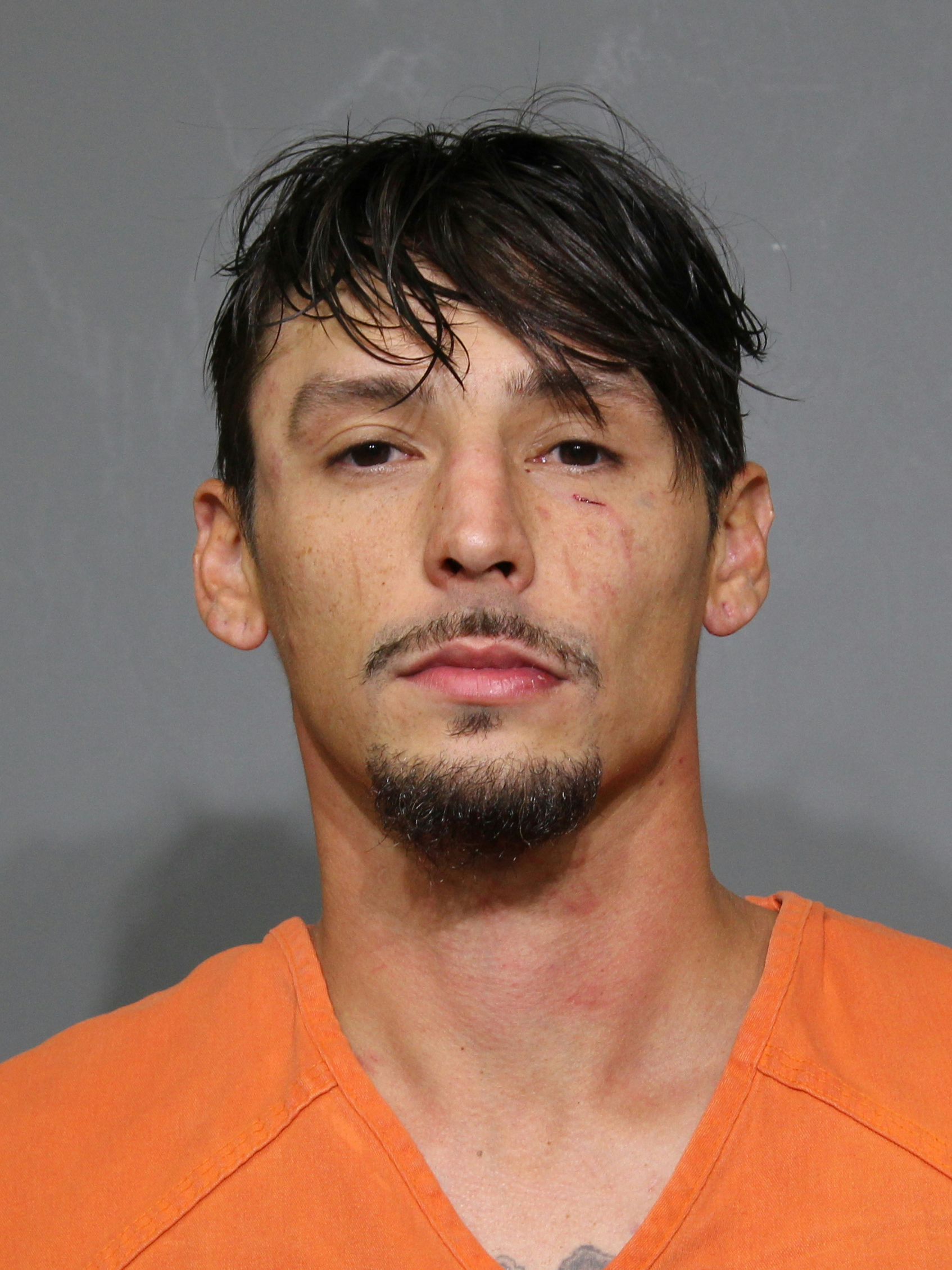 Booking photo for Poirier, Jacob Samuel