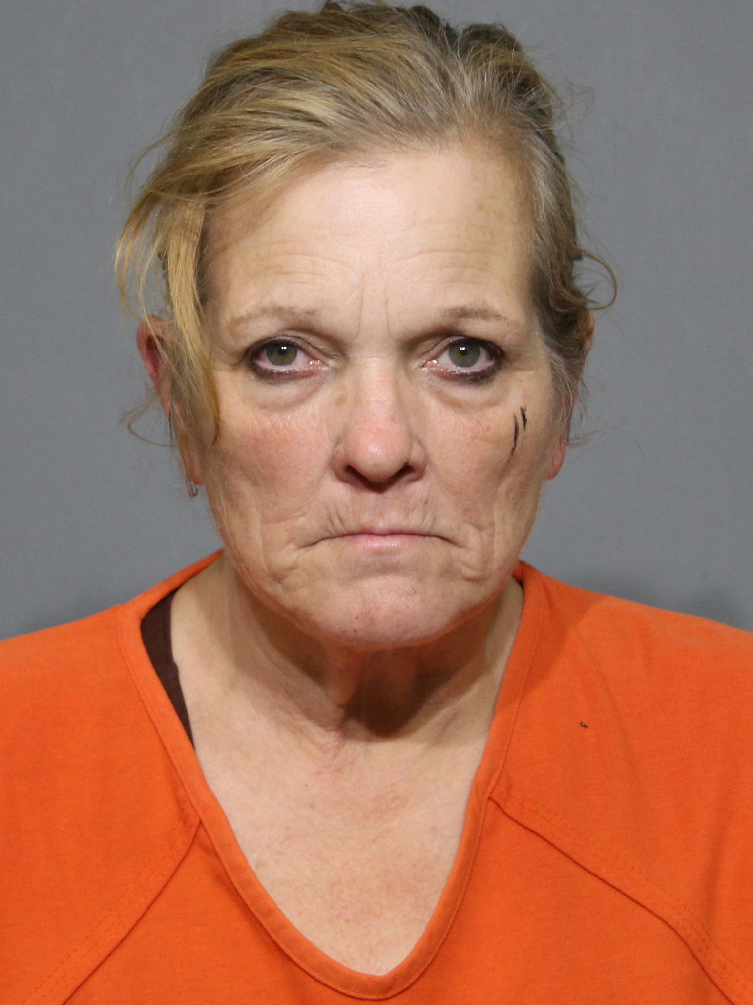 Booking photo for Sheets, Dawn Marie